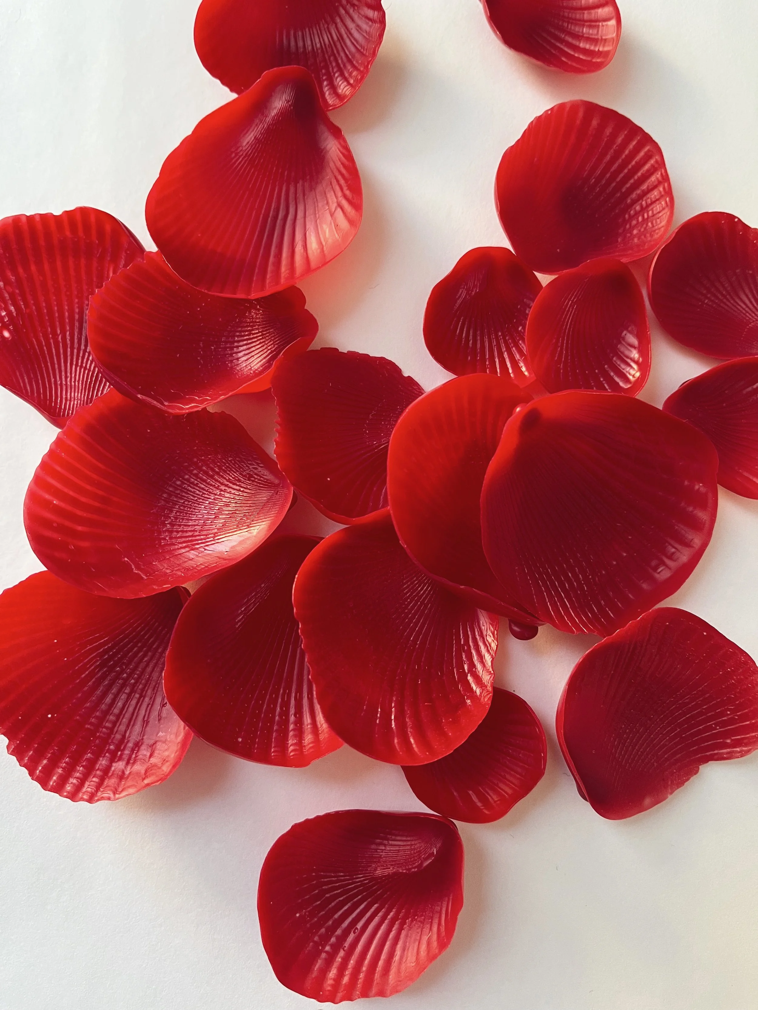 mussel-memories-making-of-2.jpg