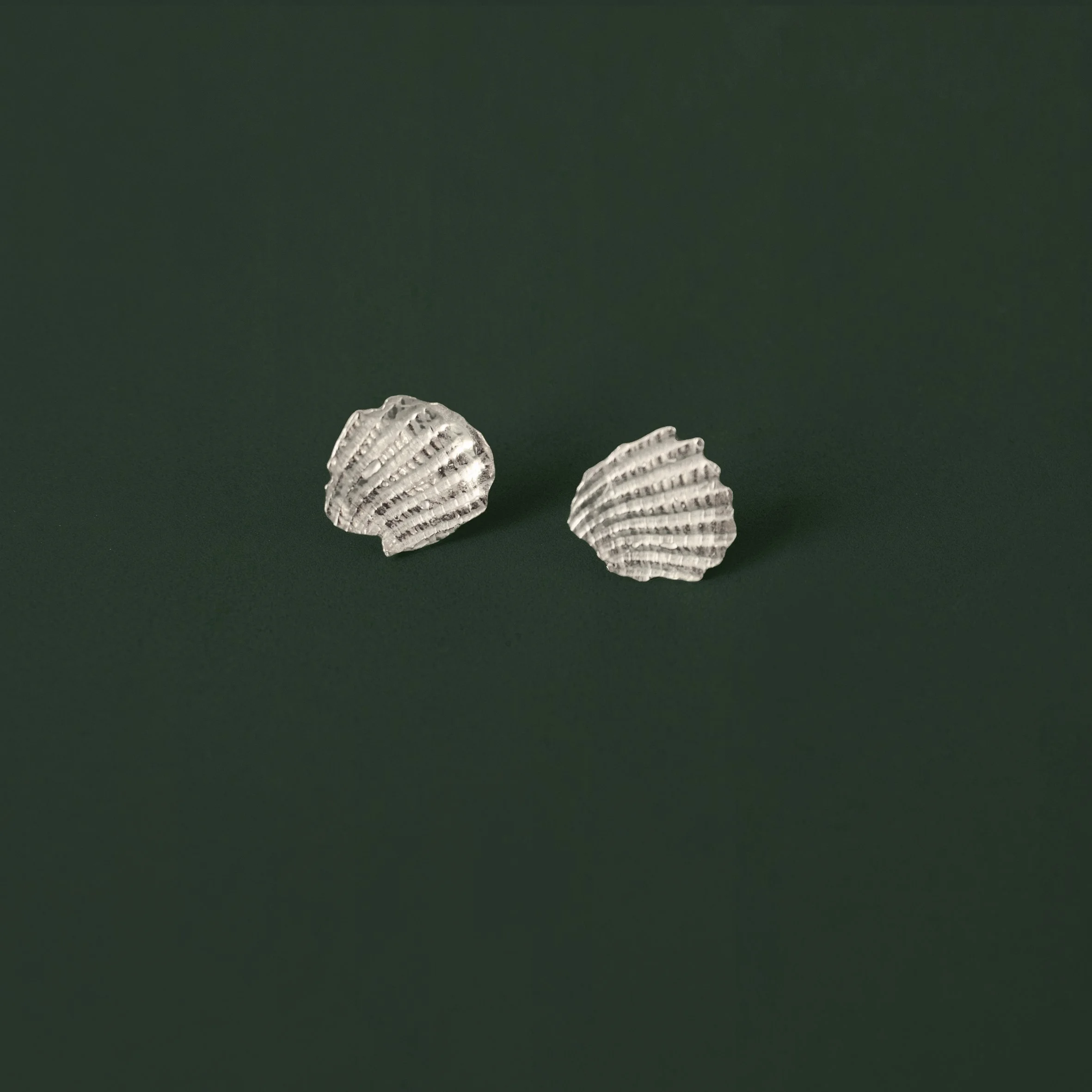 seashell-fragment-earstuds-2-silver.jpg