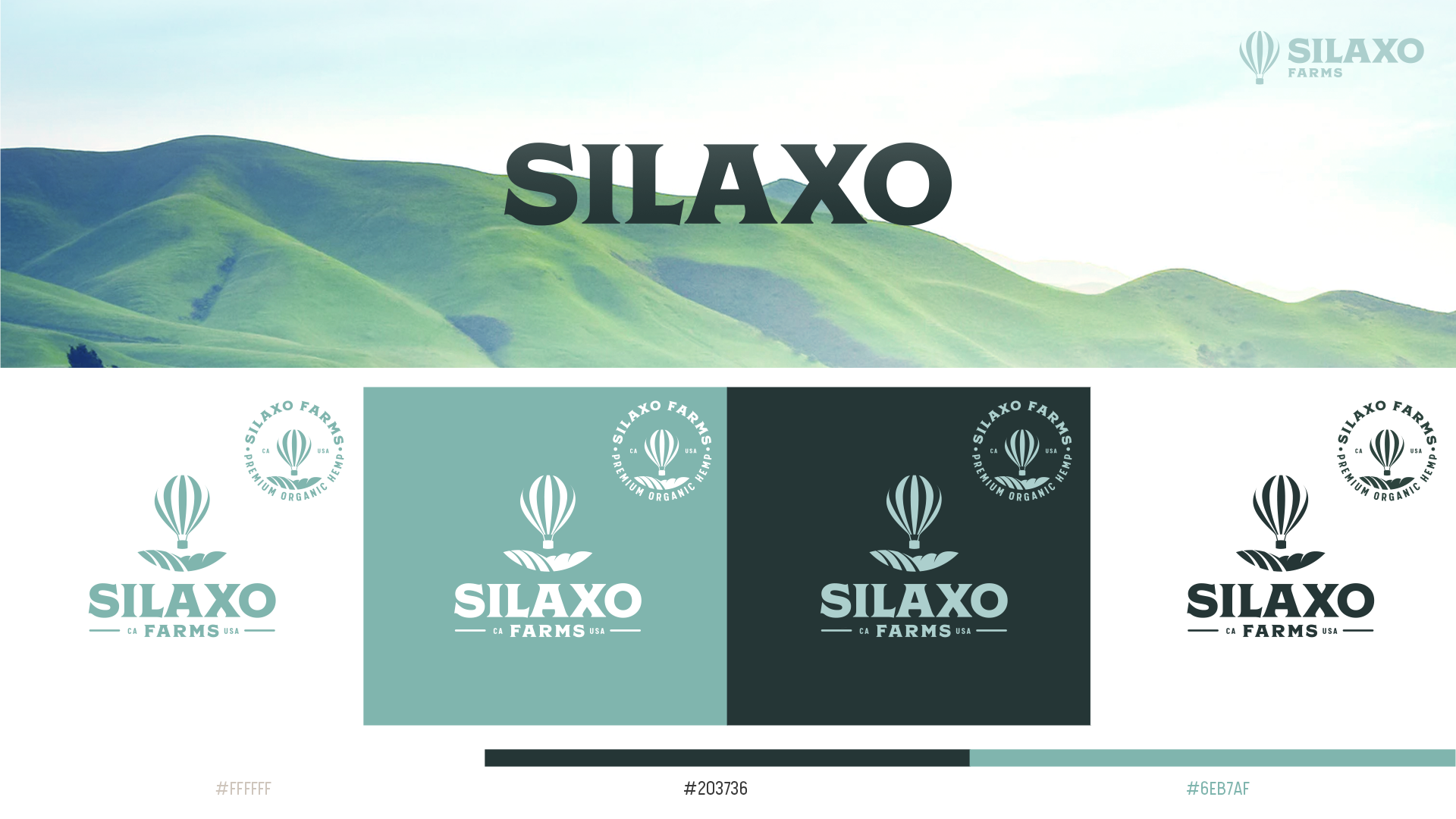 silaxo colors.png