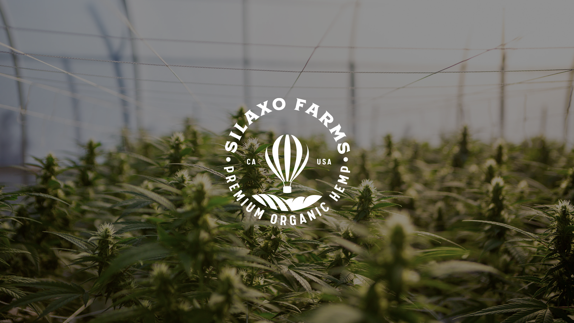 silxa hemp 2.png