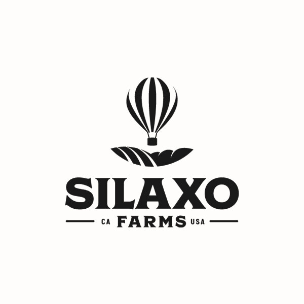 Silaxo.jpg