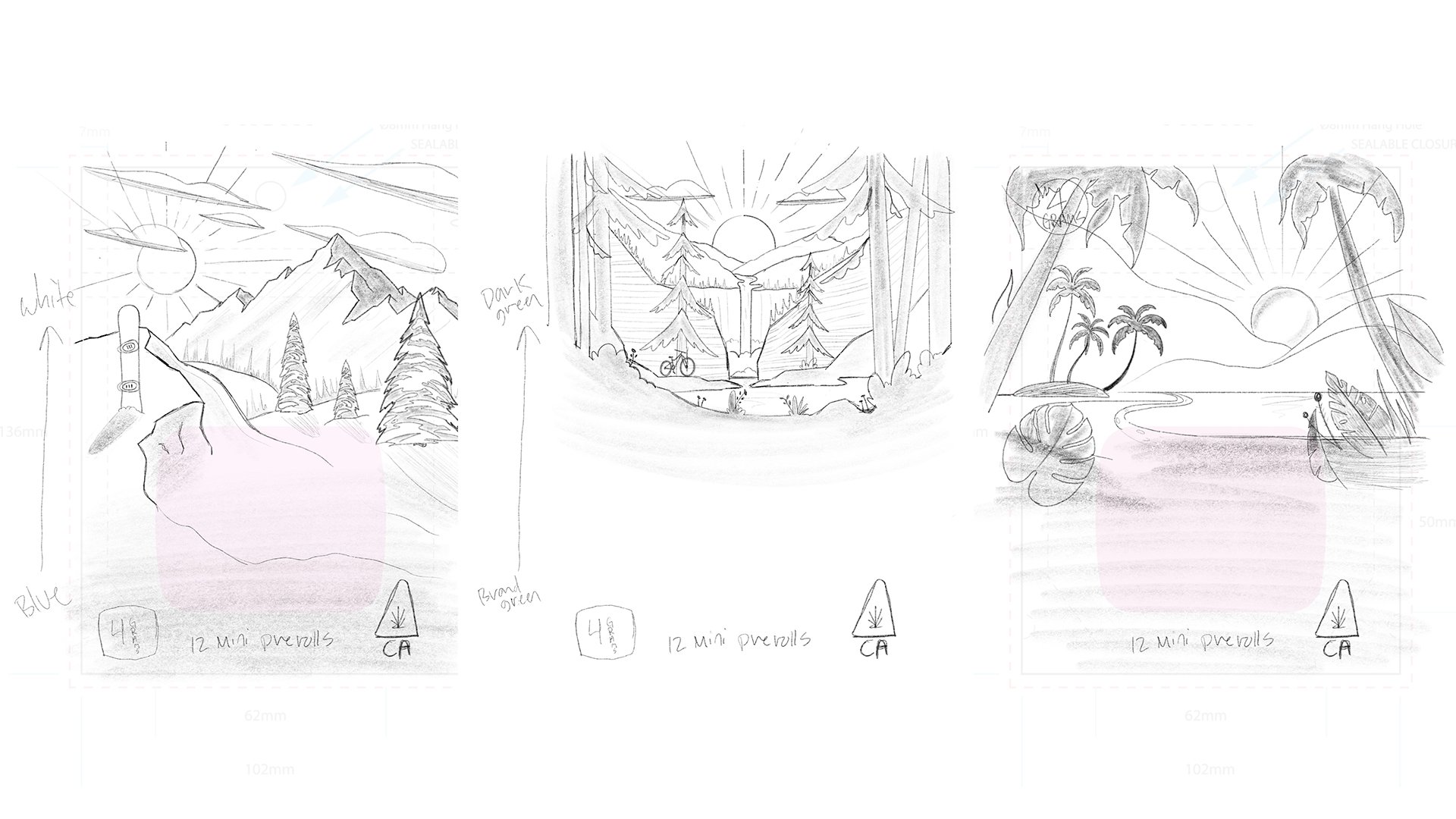 Hi Rize banner Sketches.jpg