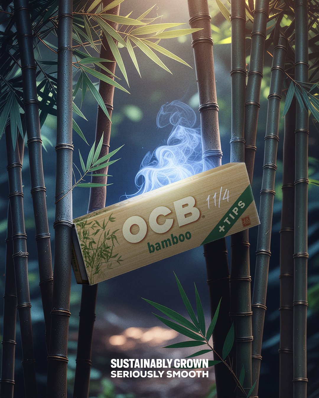 OCB Bamboo in forest.jpg