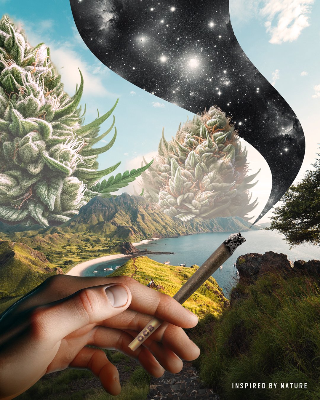 OCB_Hand cone space nature_.jpg