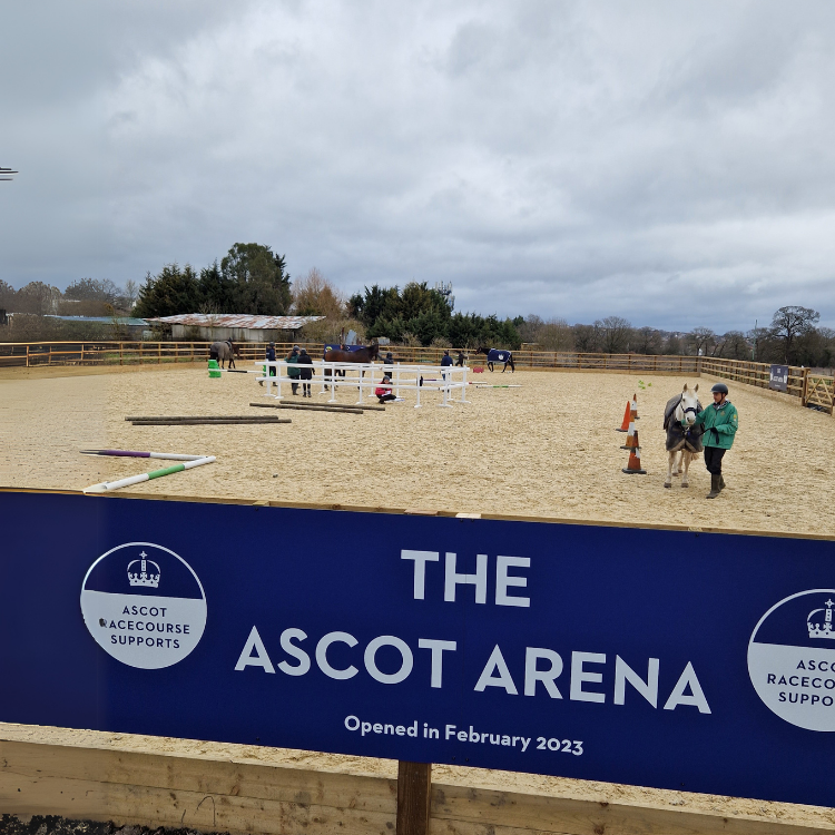 Ascot_arena_website.png