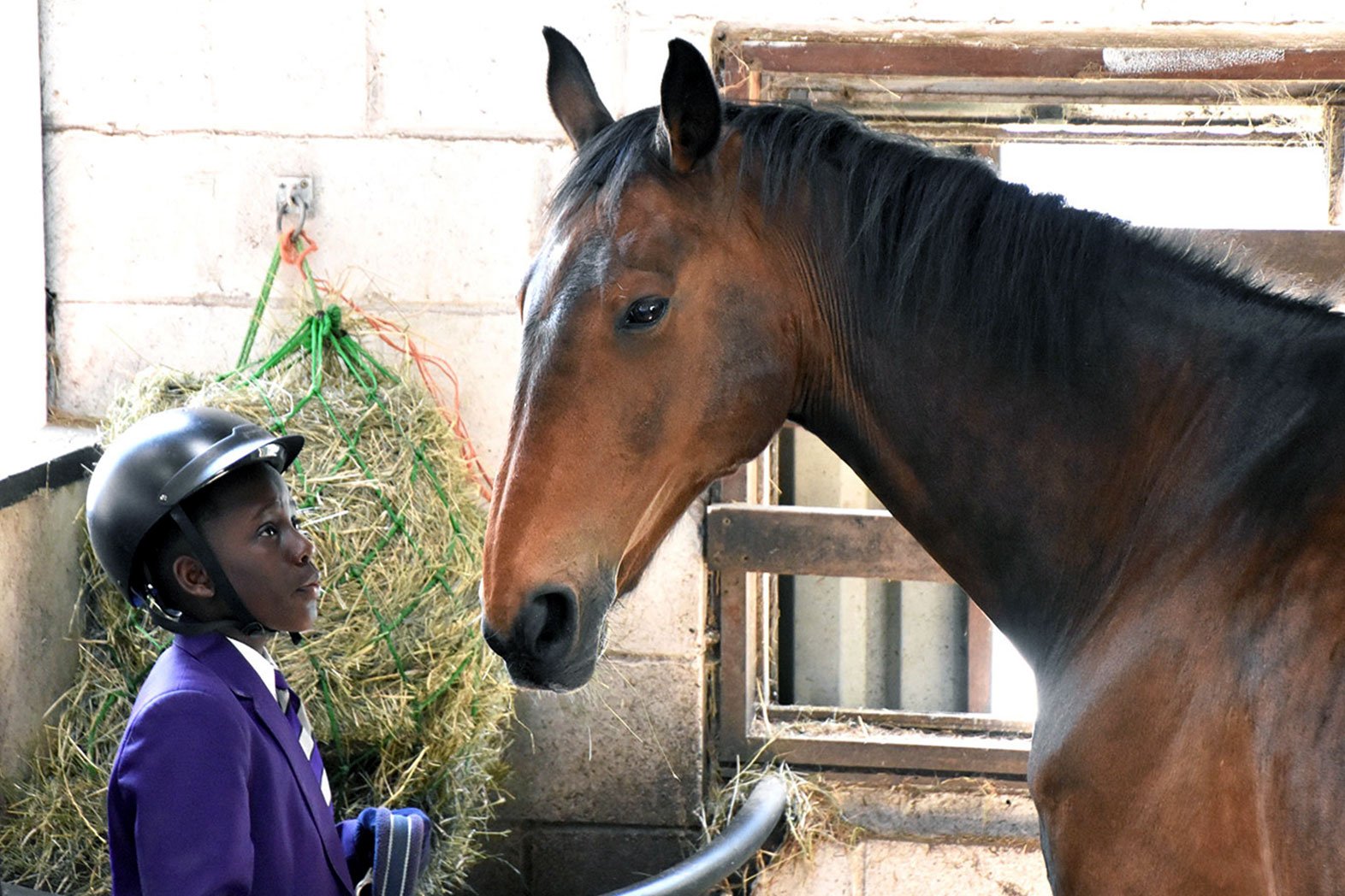Equine therapy near me deals