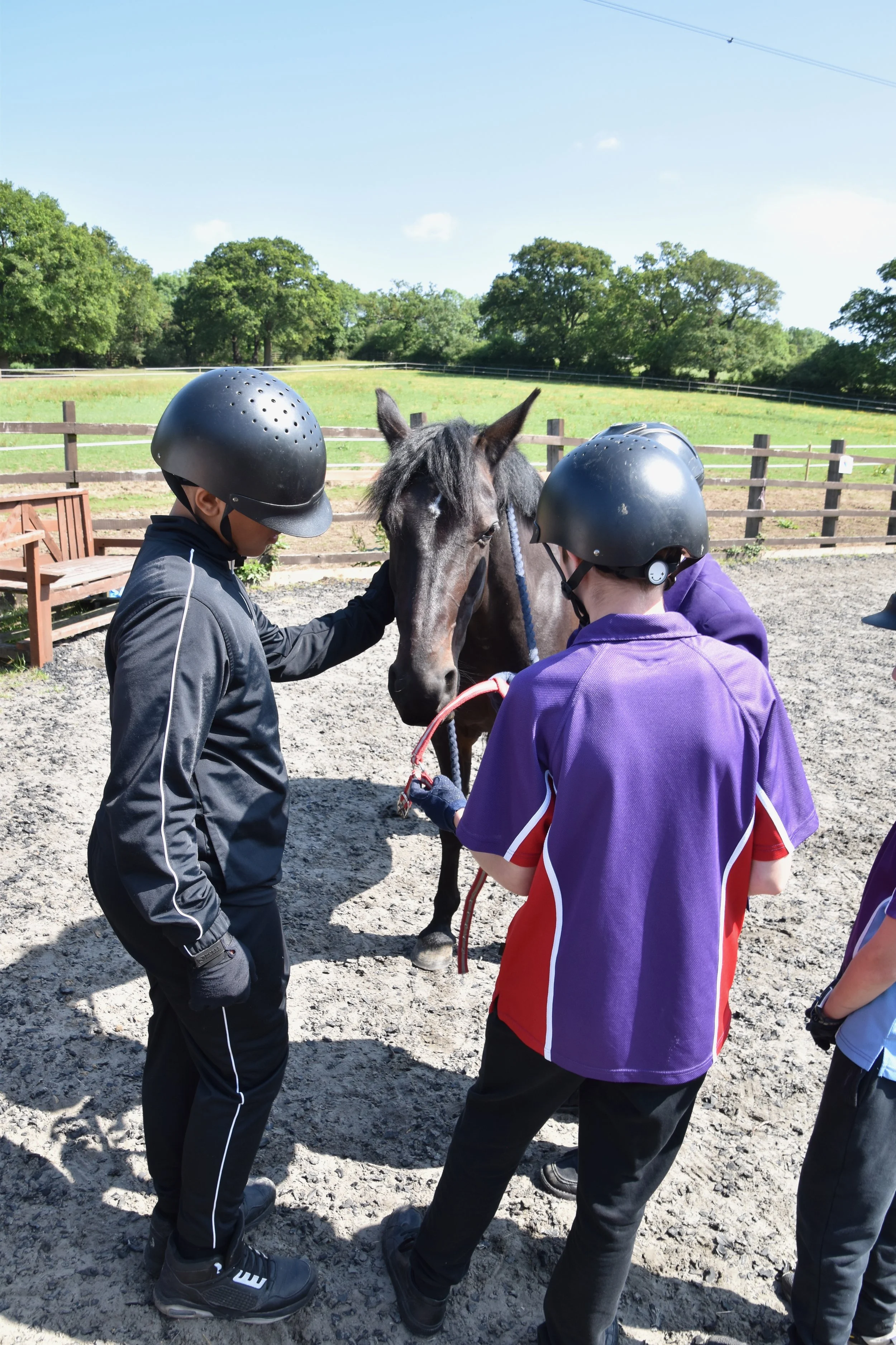 School children learn to handle a horse together helping to build their confidence and teamwork skills