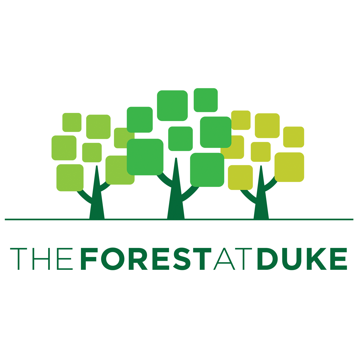 The Forest at Duke.png