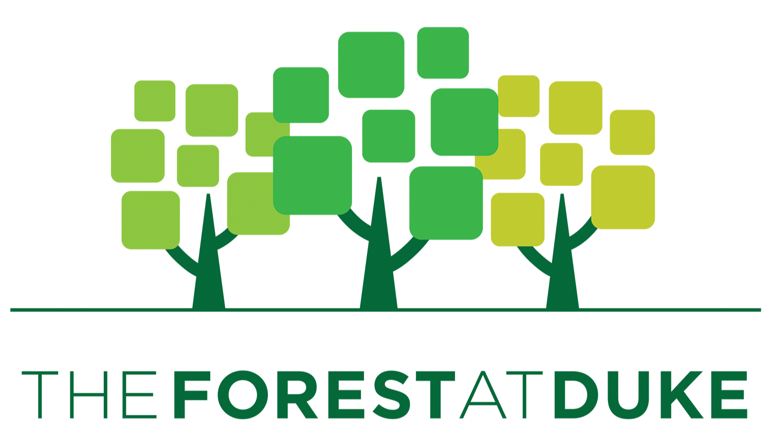 The Forest at Duke.png (Copy)
