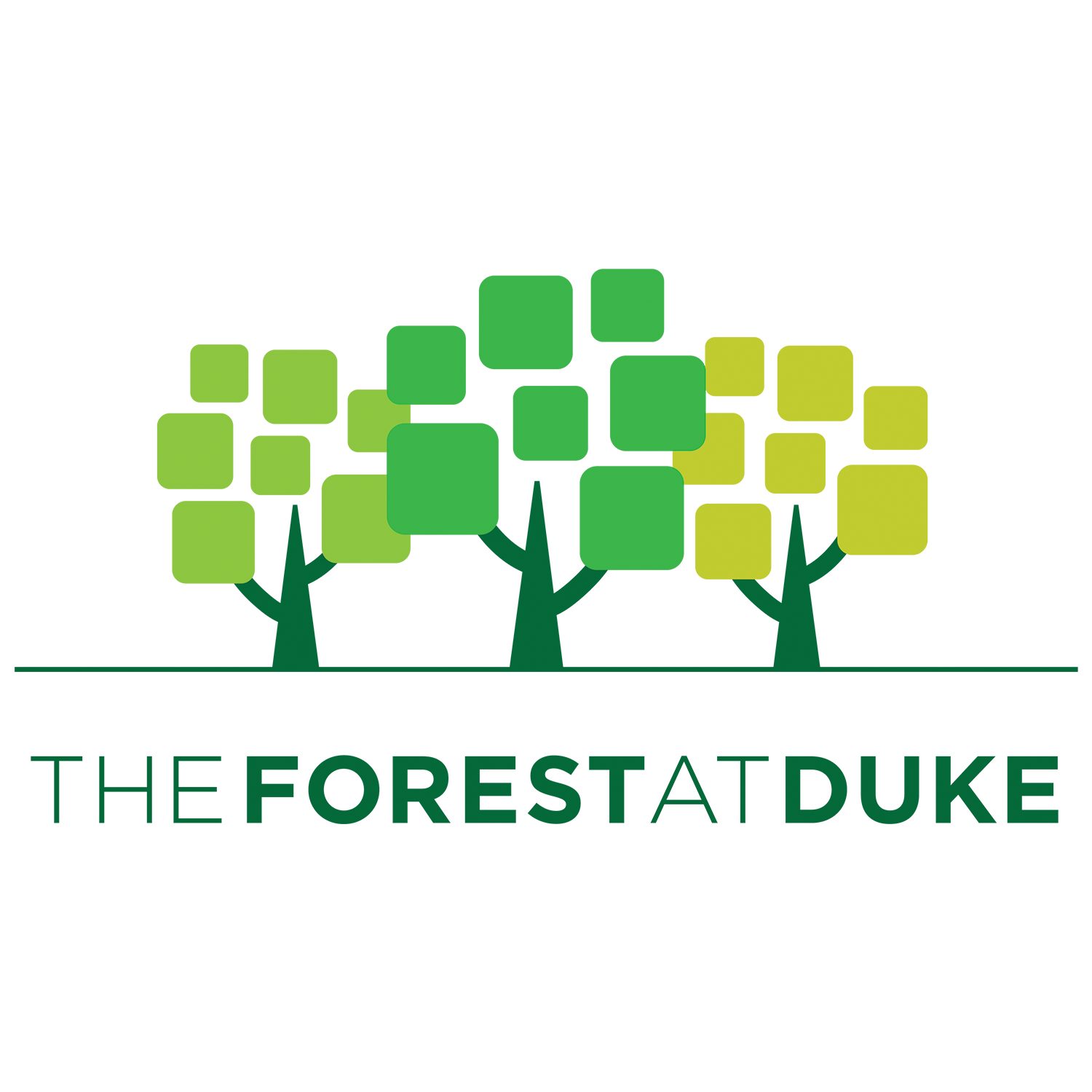 The Forest at Duke.png