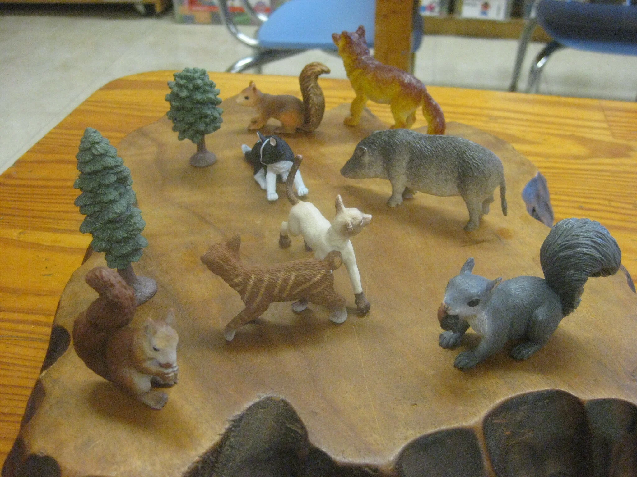 Animals in the forest