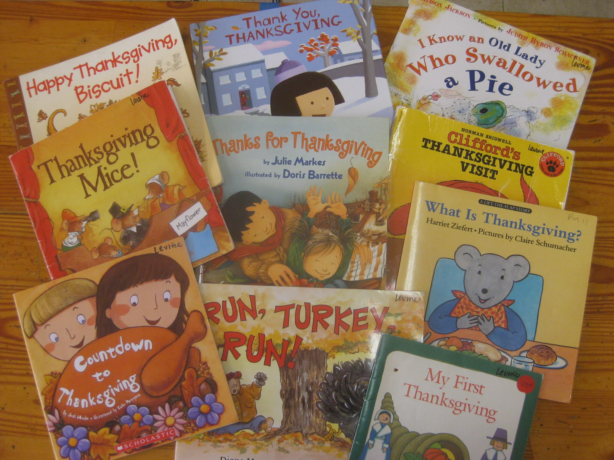 Lots of Thanksgiving books to read