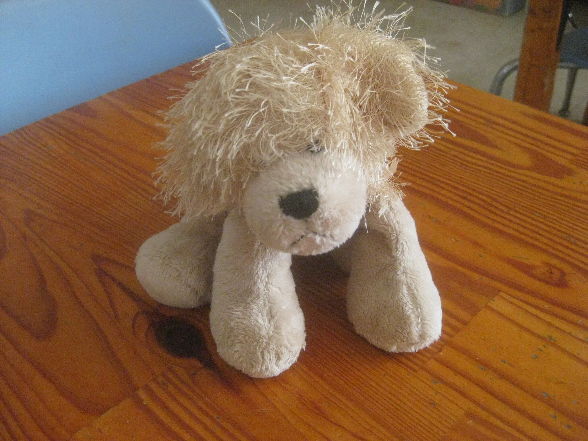 Biscuit before his haircut