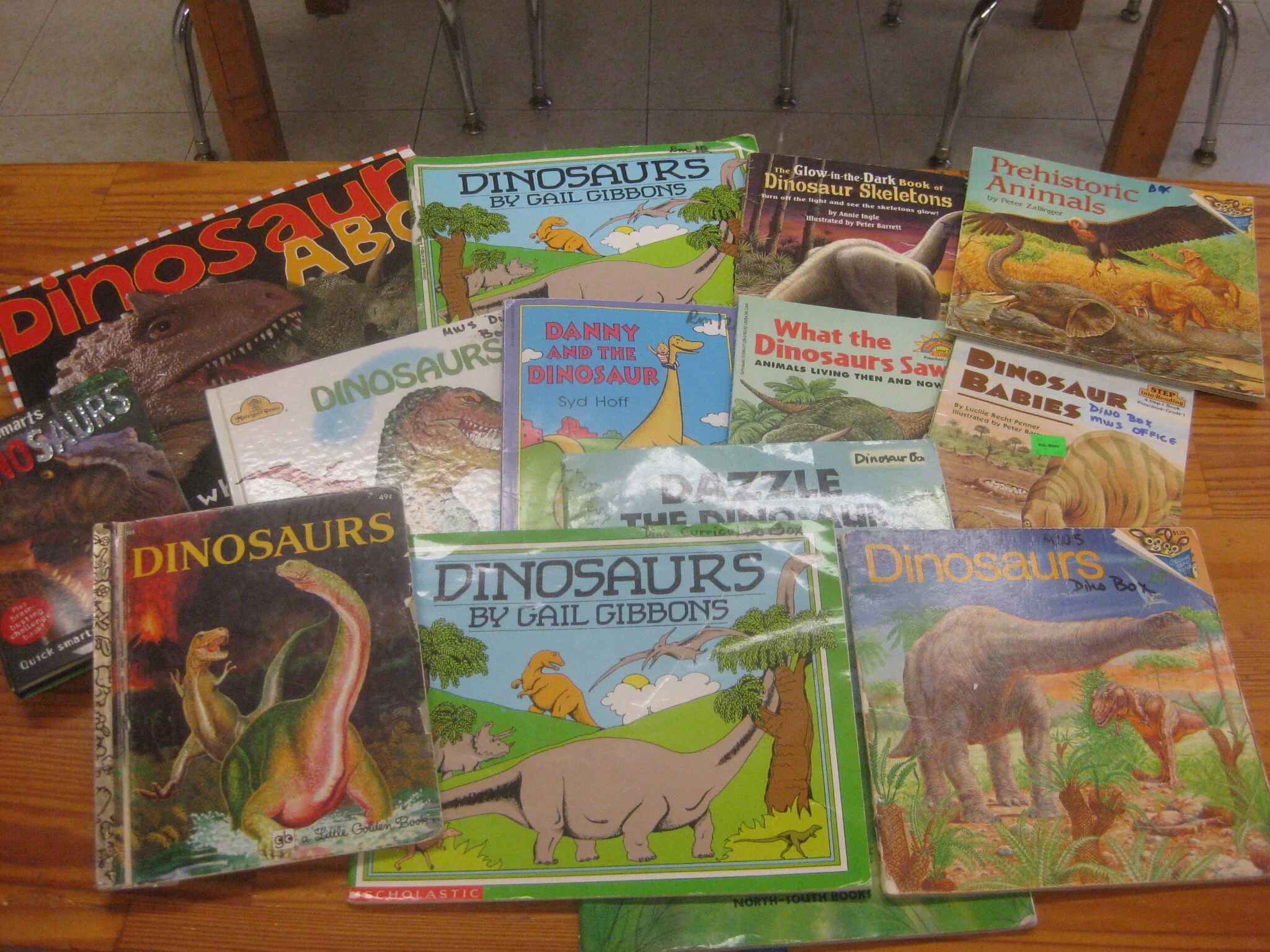 Lots of dinosaur books to read.