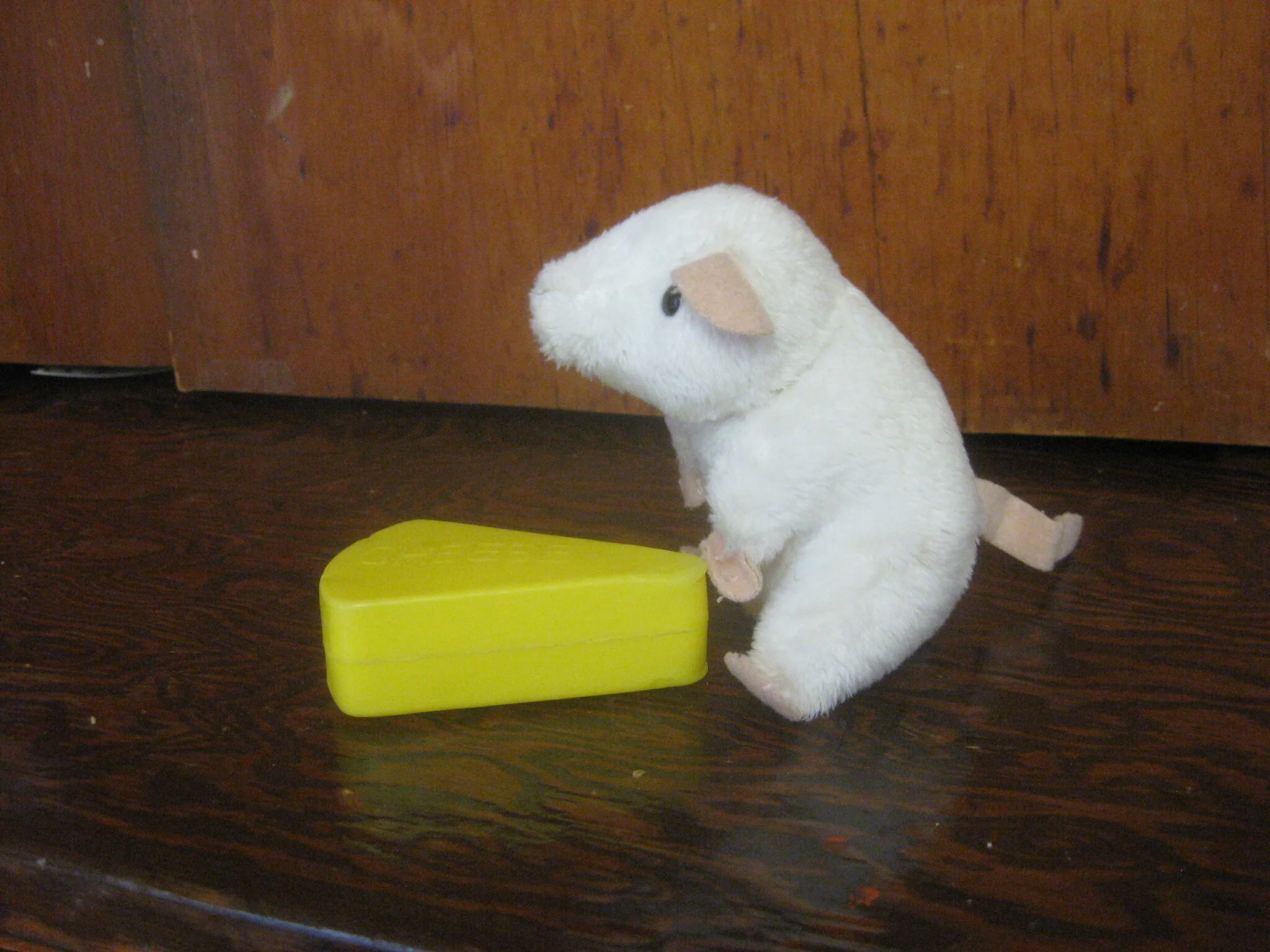 Cheese and Mouse