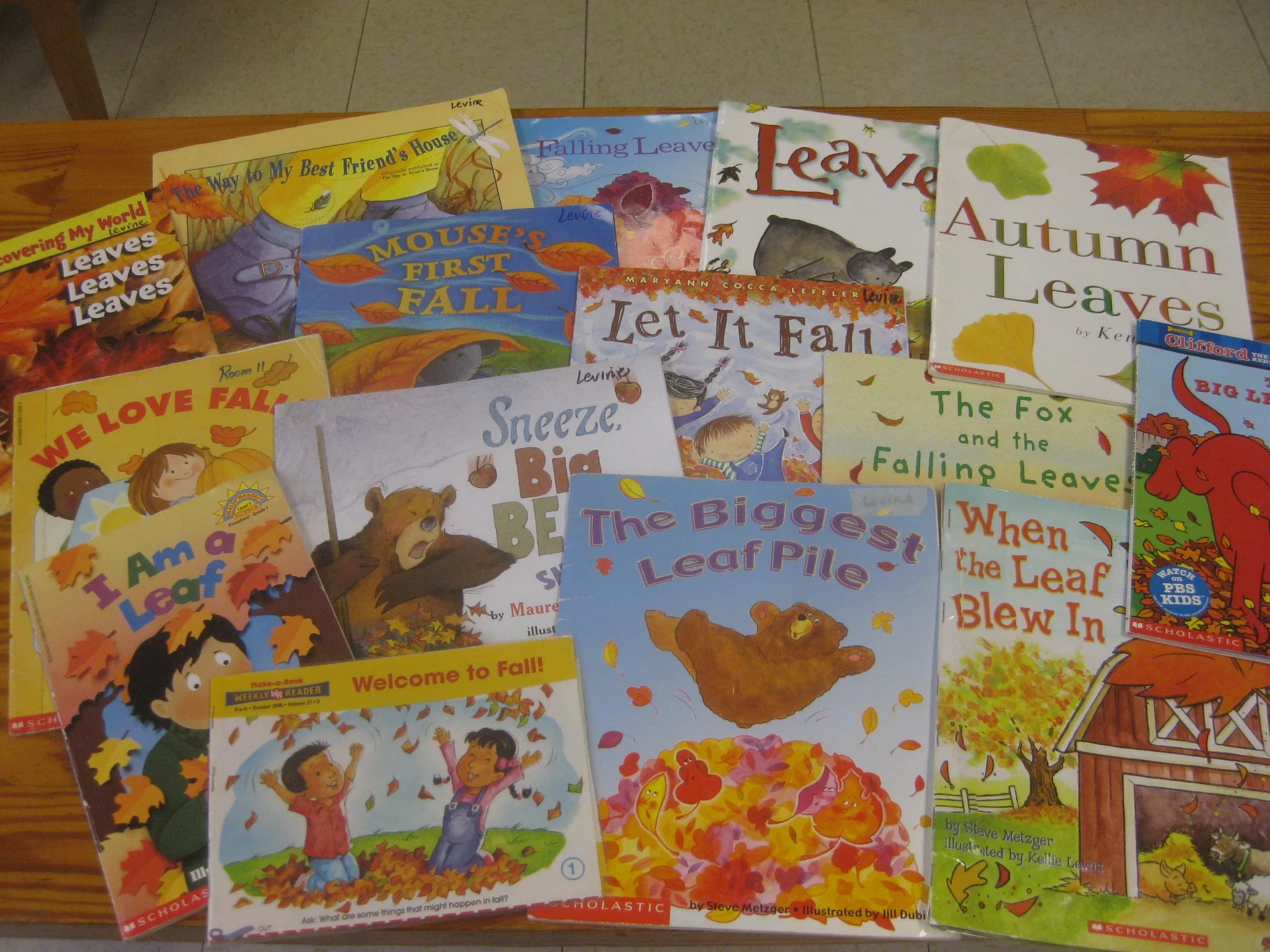 Lots of Fall books to choose from.