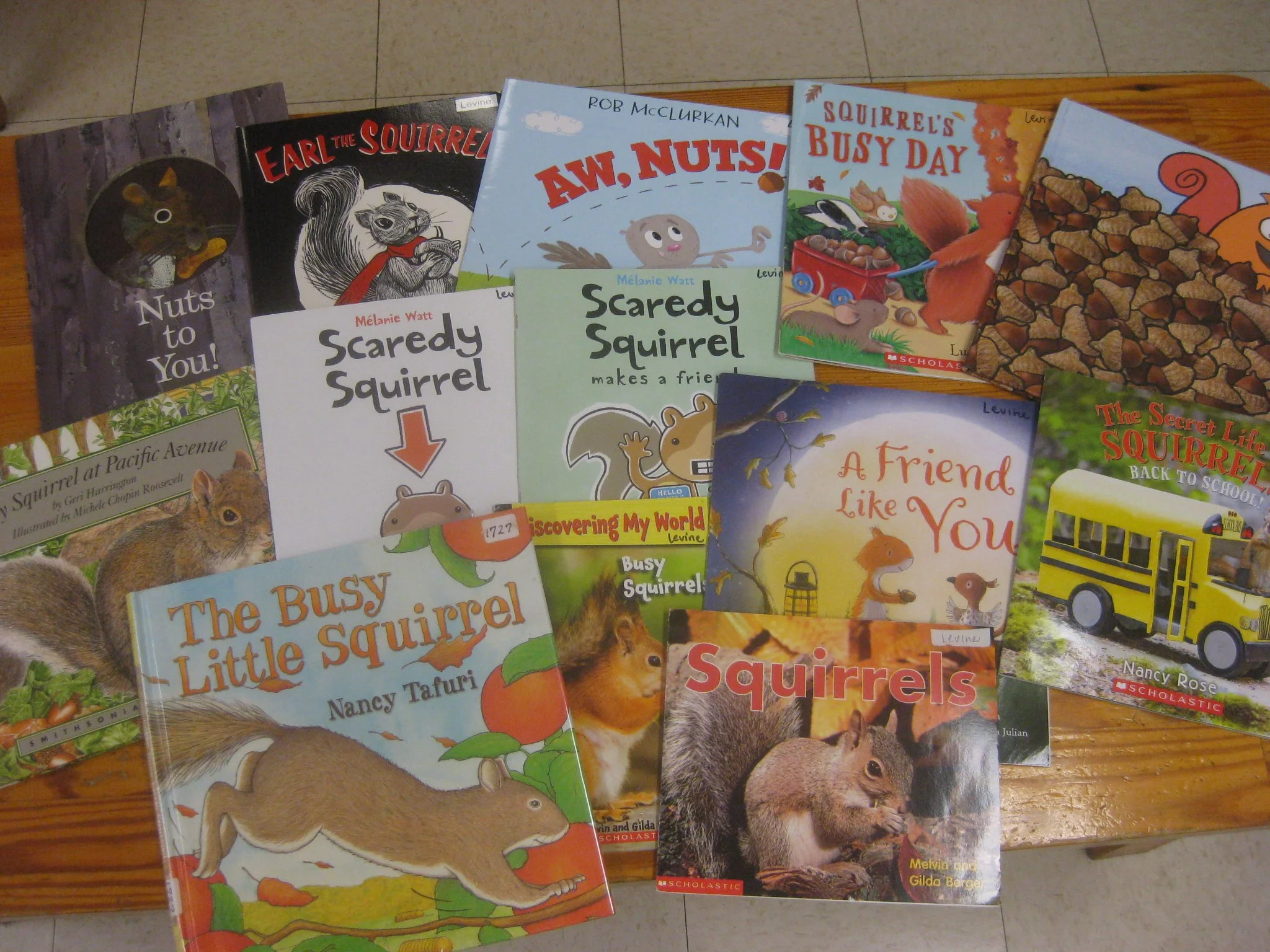 Many many squirrel books.