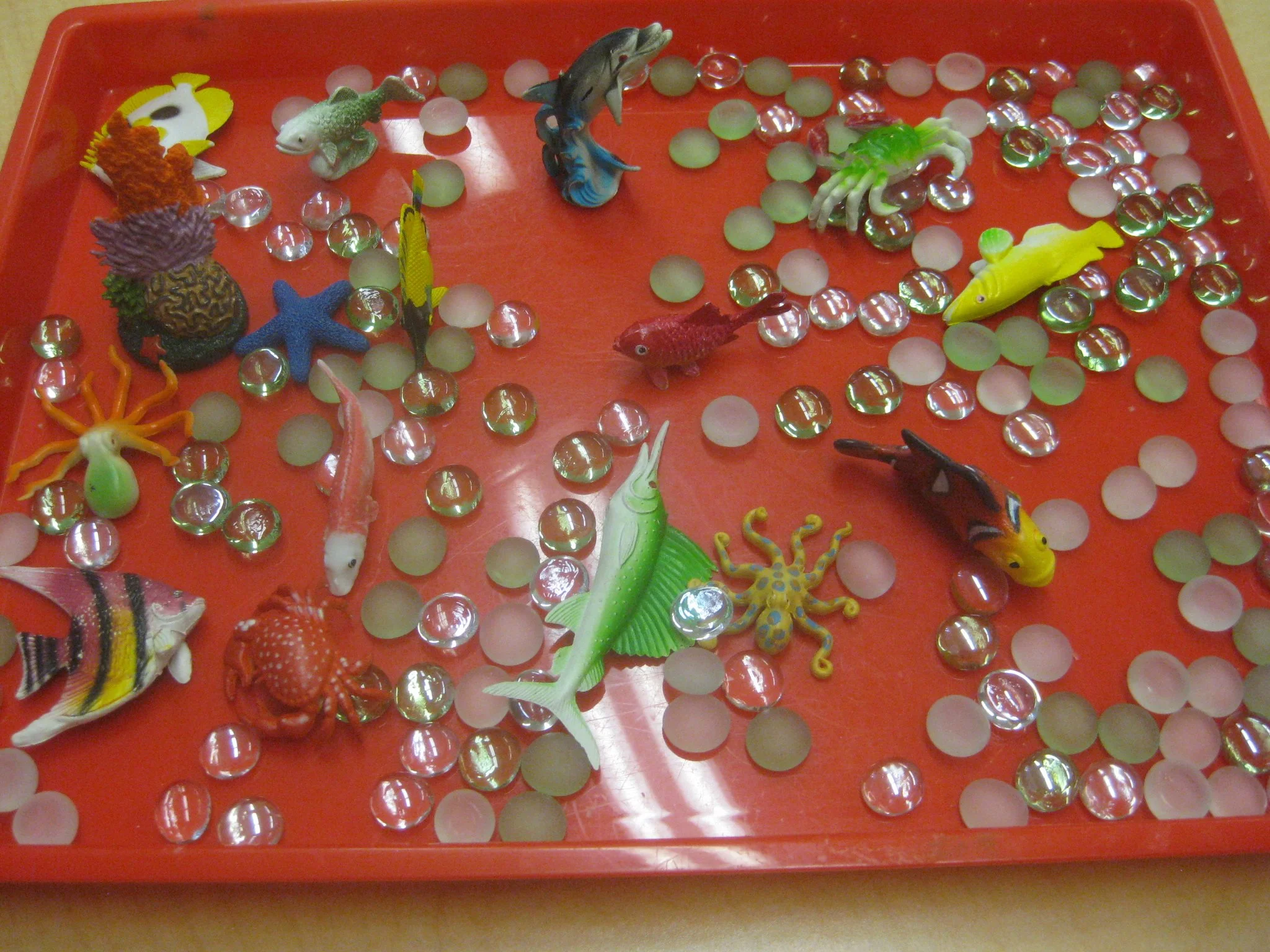 Fish and glass stones.