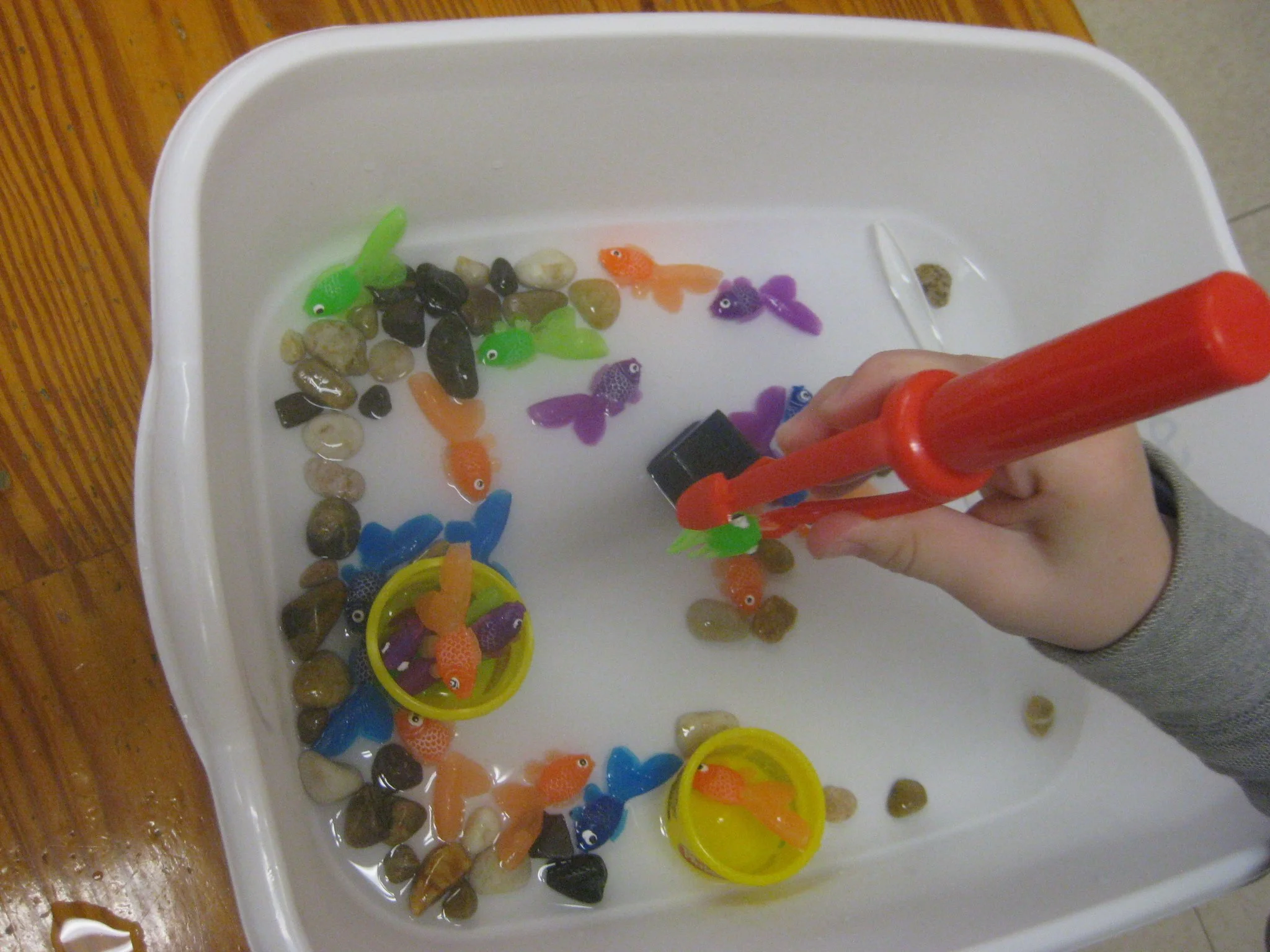 Fish and water play.