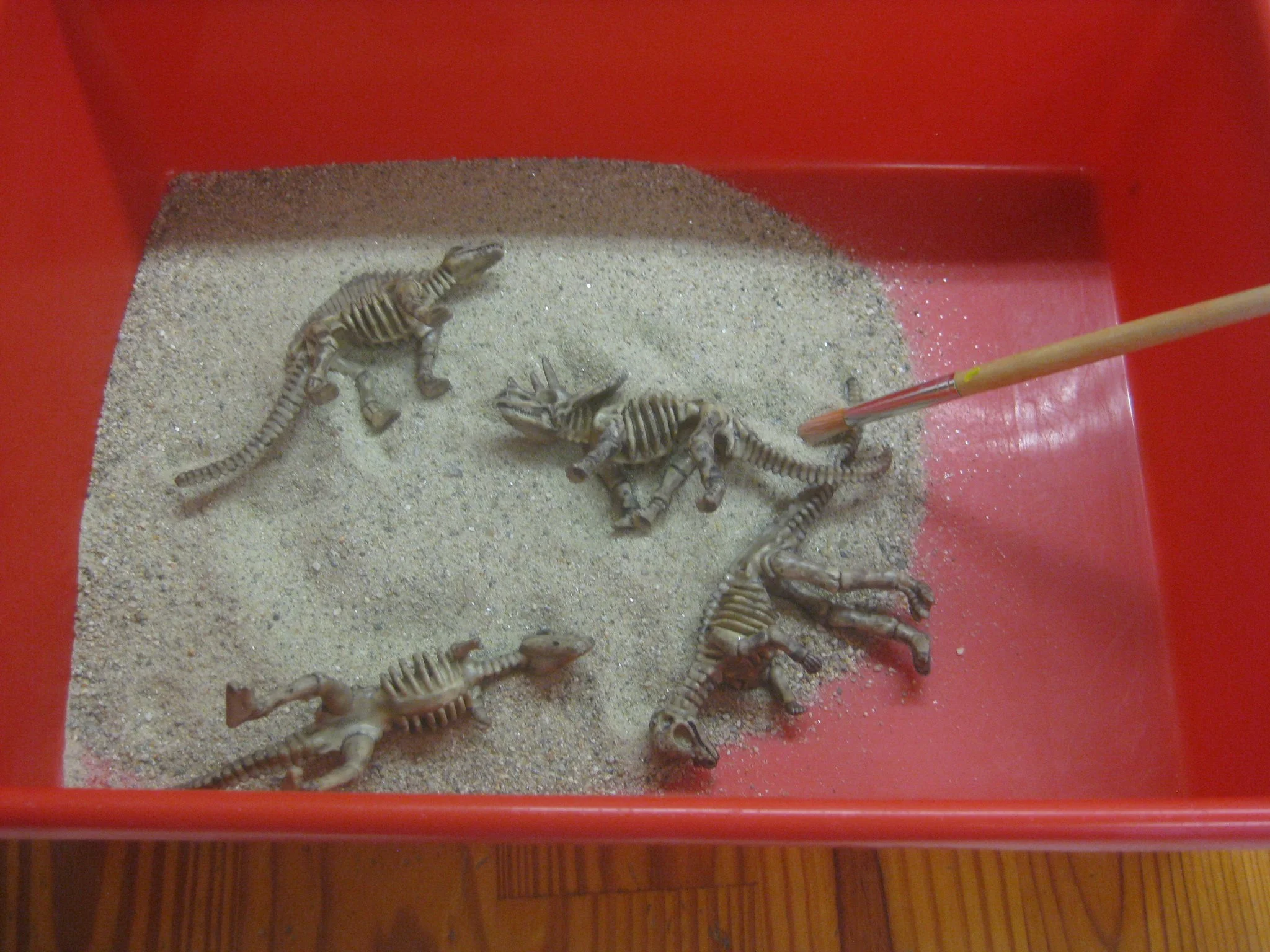 Digging for dinosaurs.