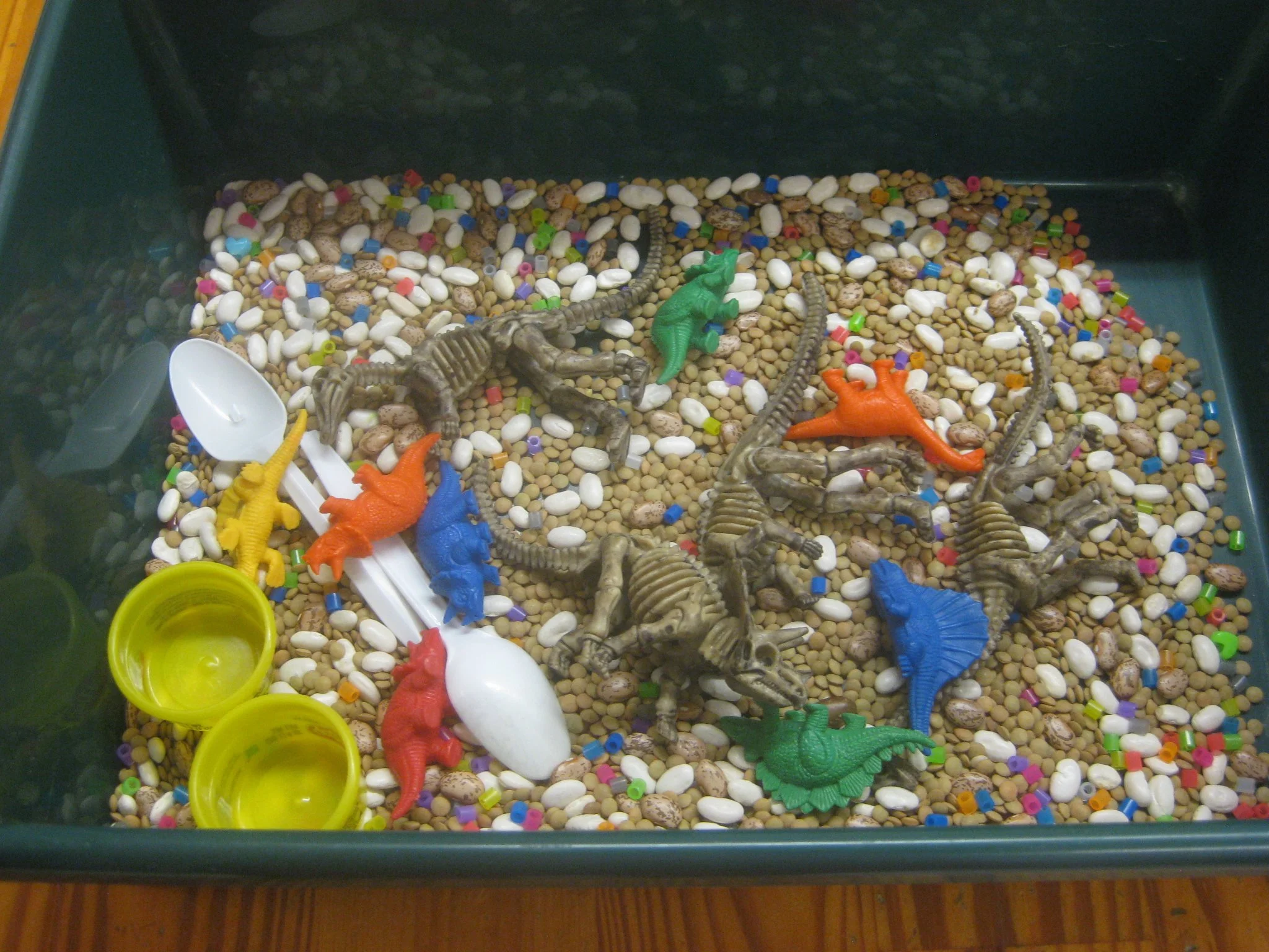Dinosaur sensory bucket.