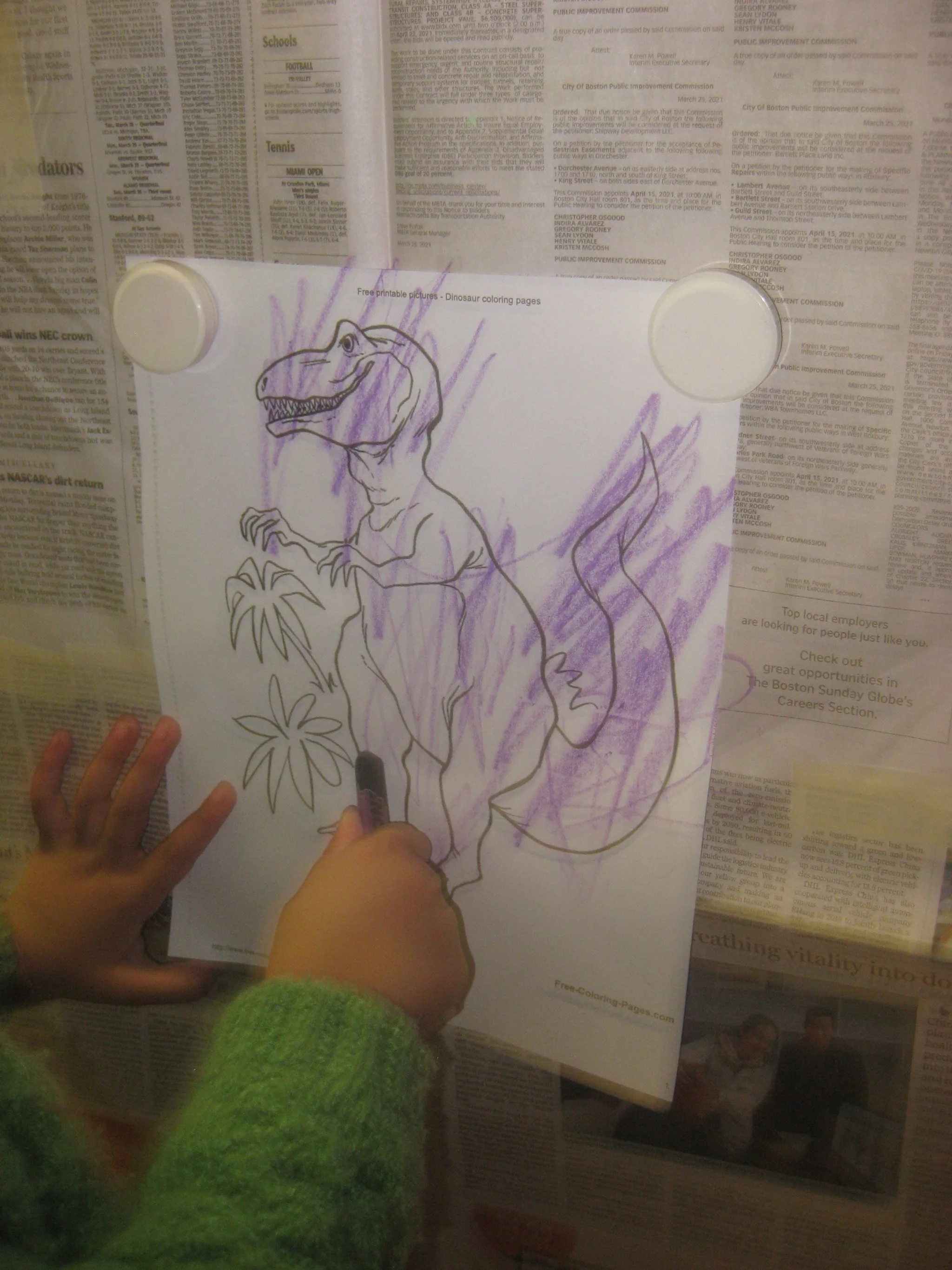 Dinosaur coloring.
