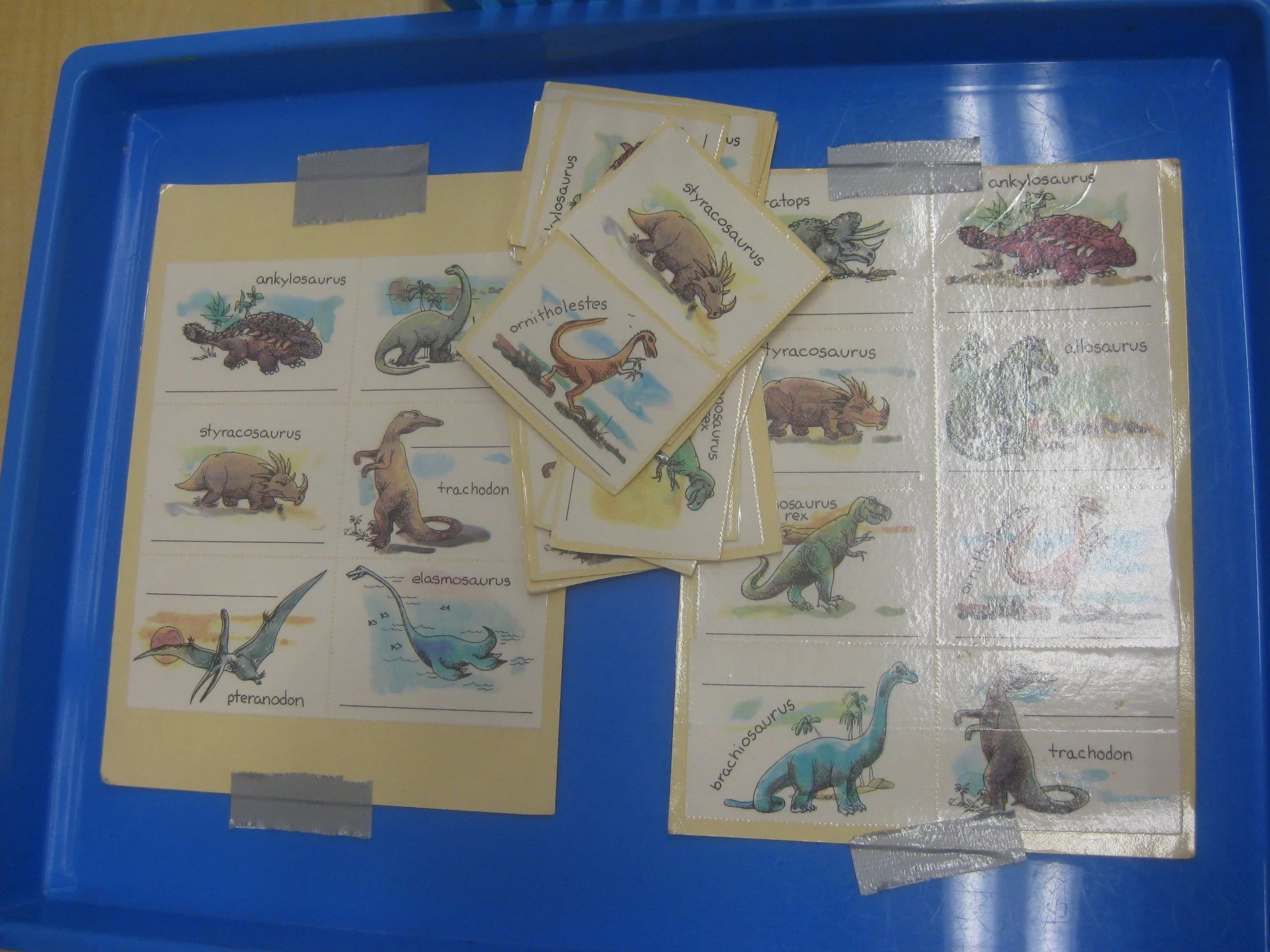 Dinosaur lotto.