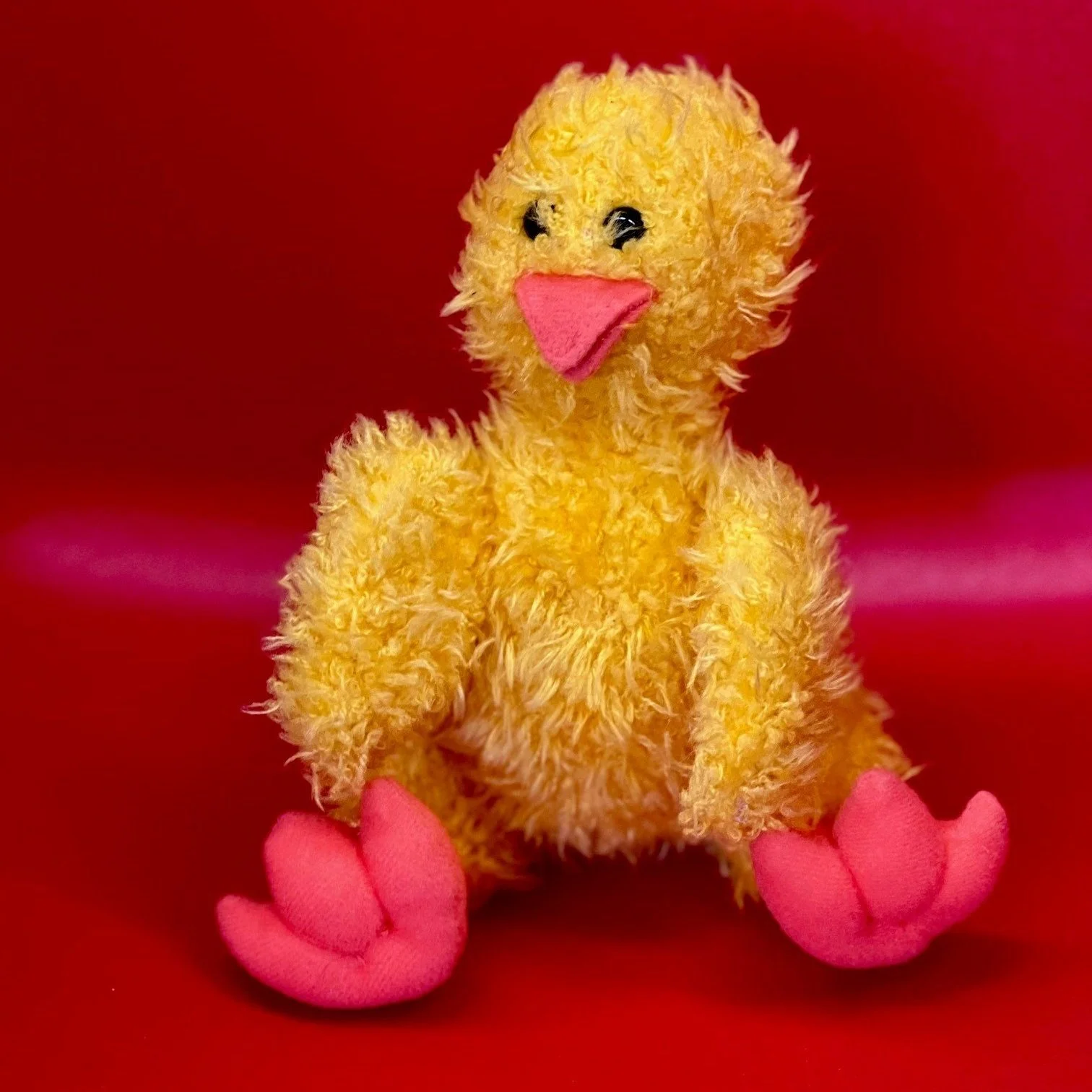 Duck.jpg