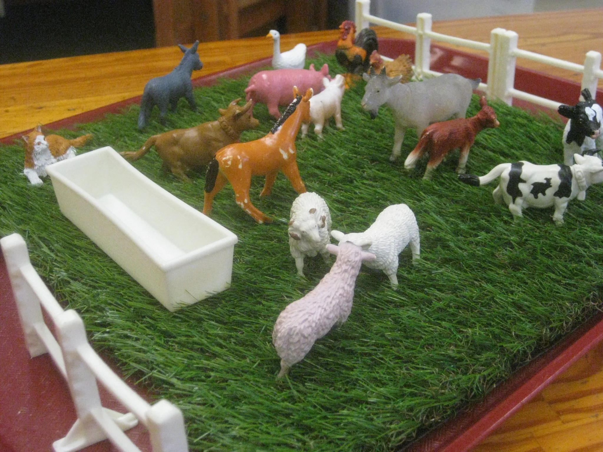 Farm