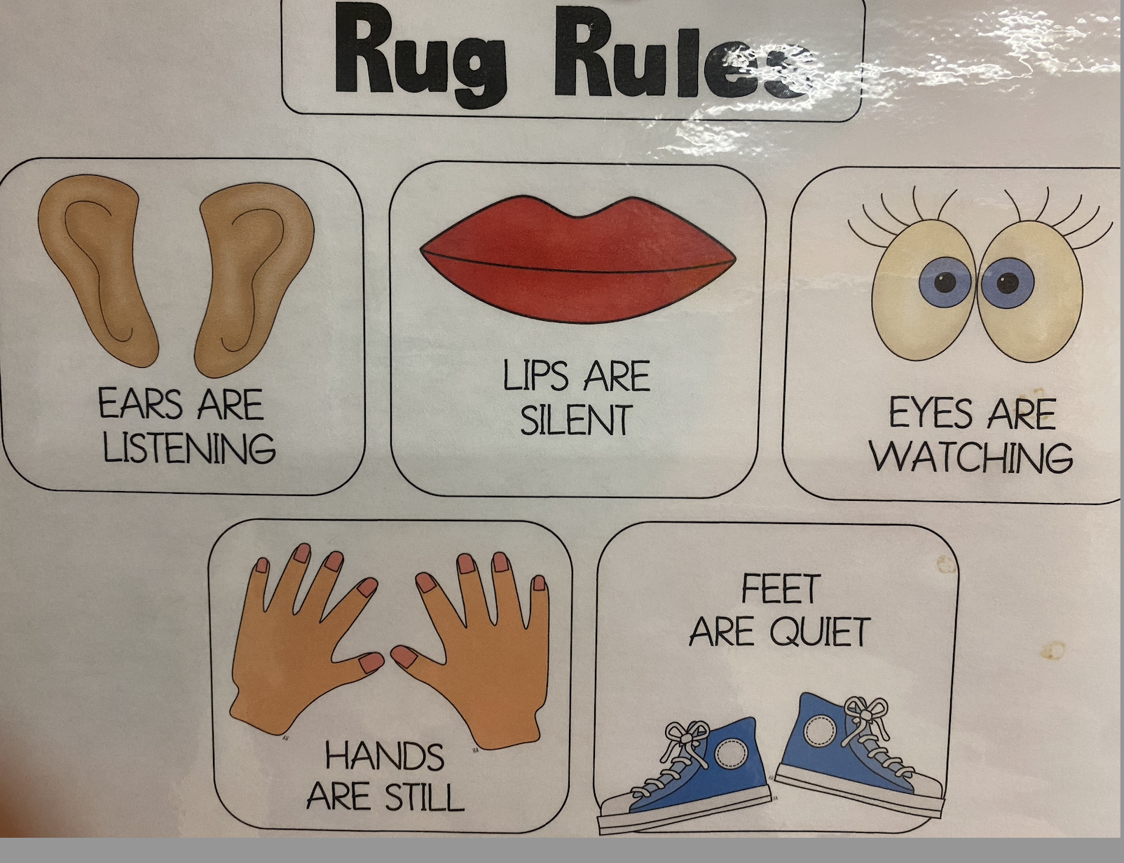 gr rm rug rules.png