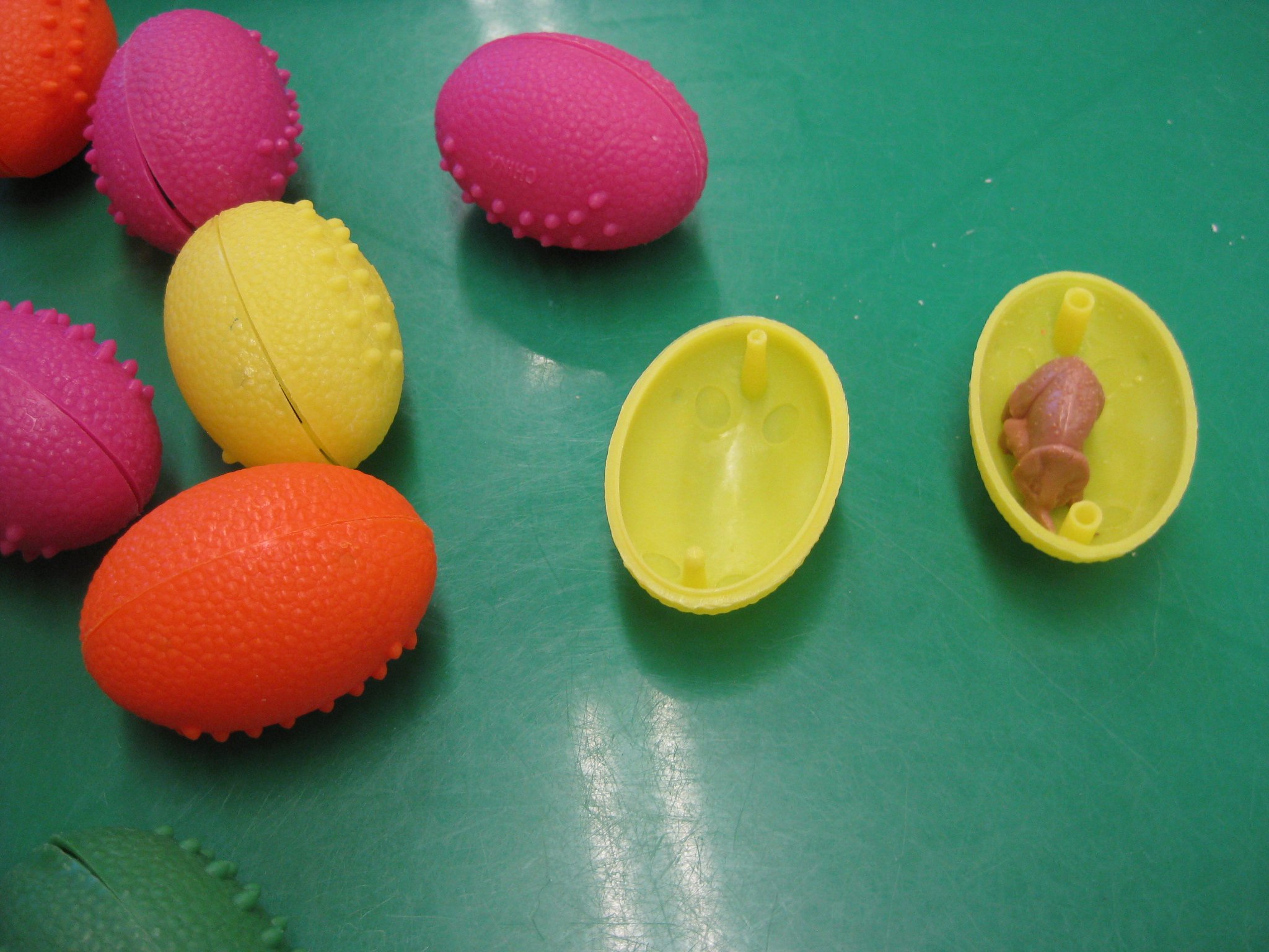 Dinosaur eggs