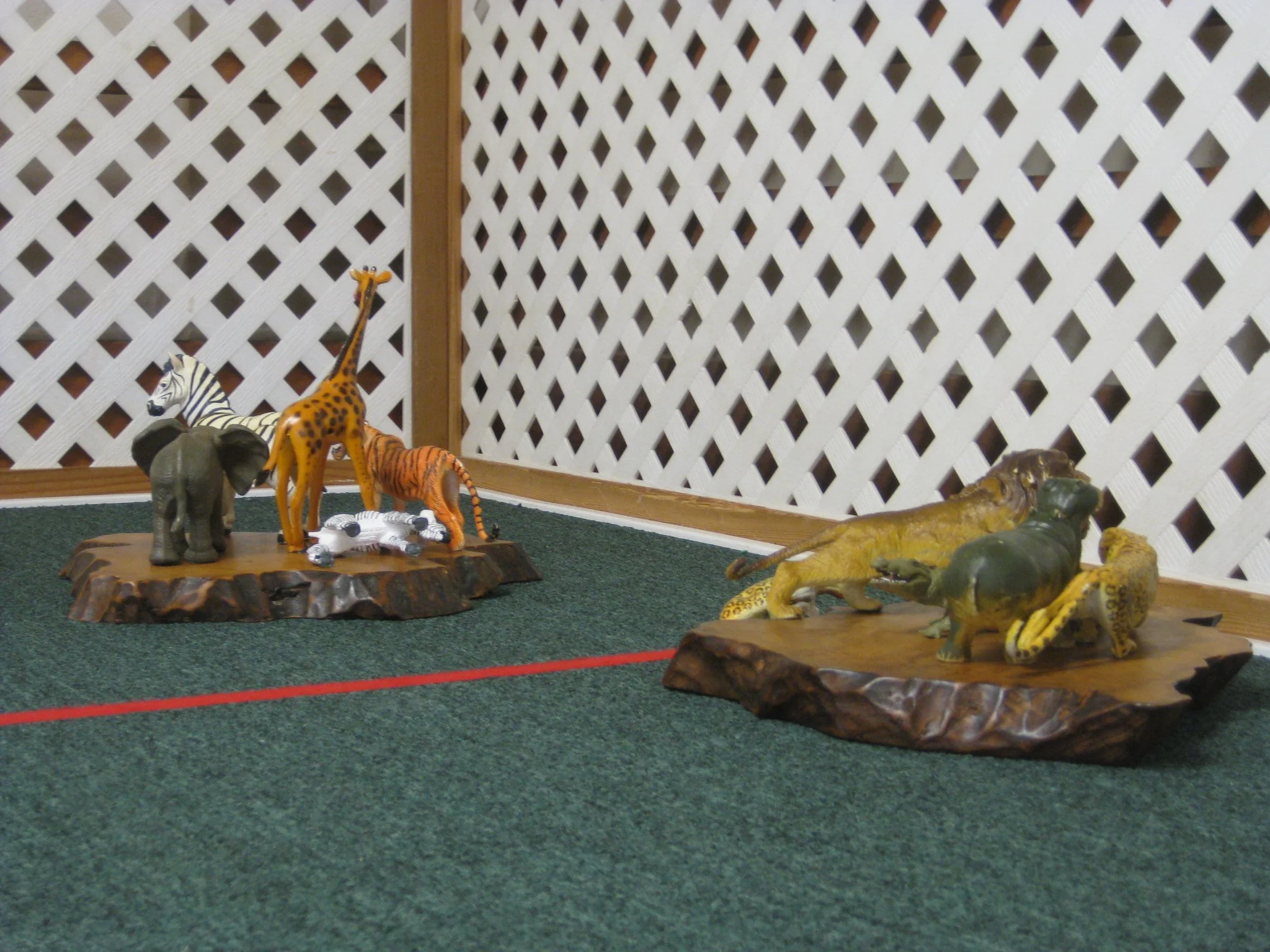 Wild animals in the loft