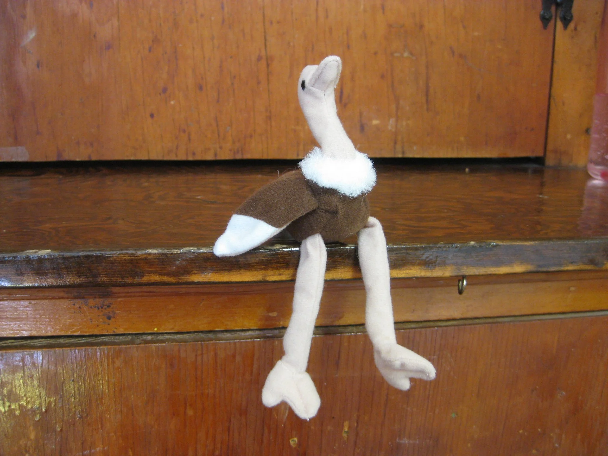 This little ostrich was our Circle Time visitor