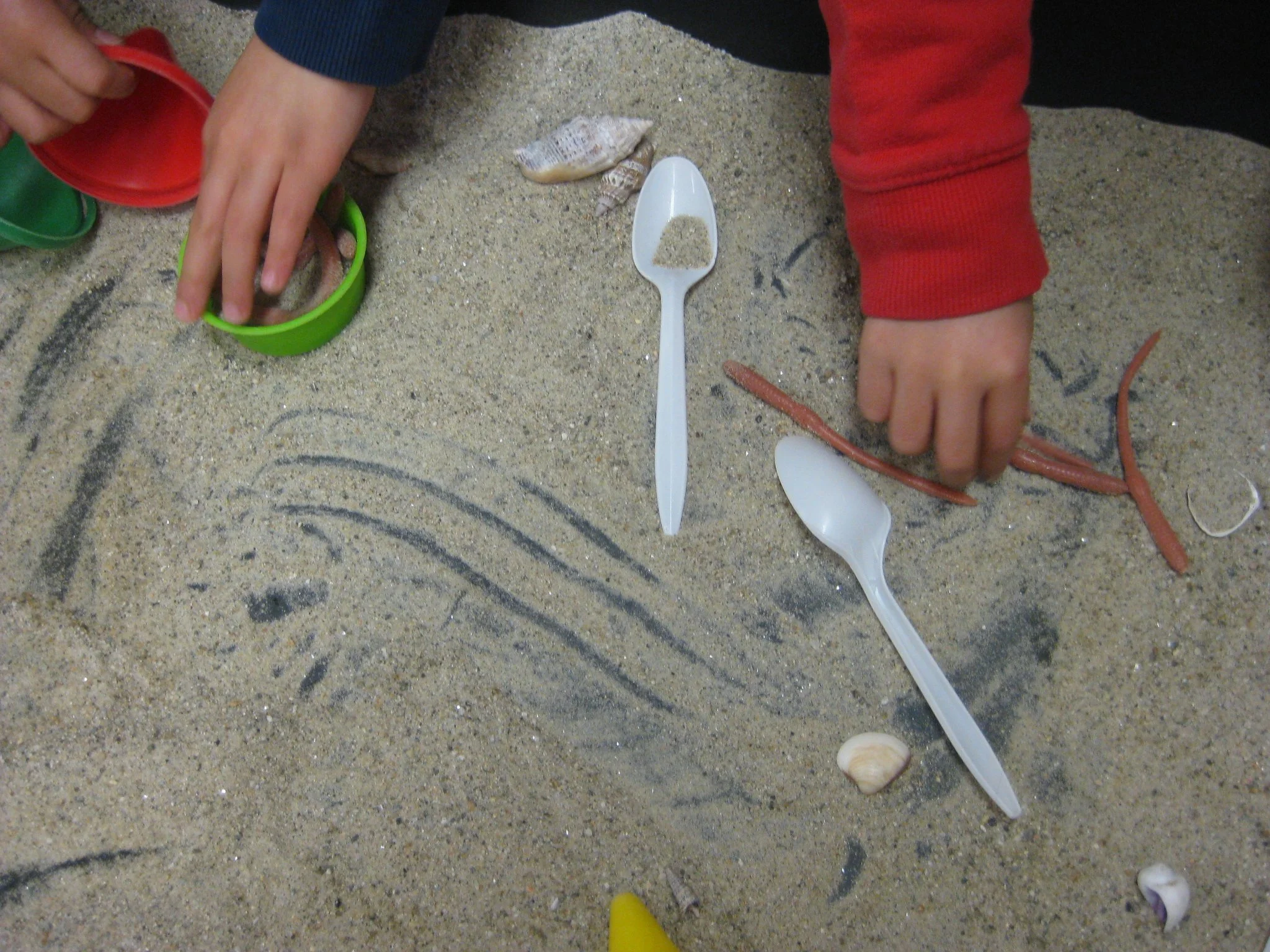 Worms love the sand.