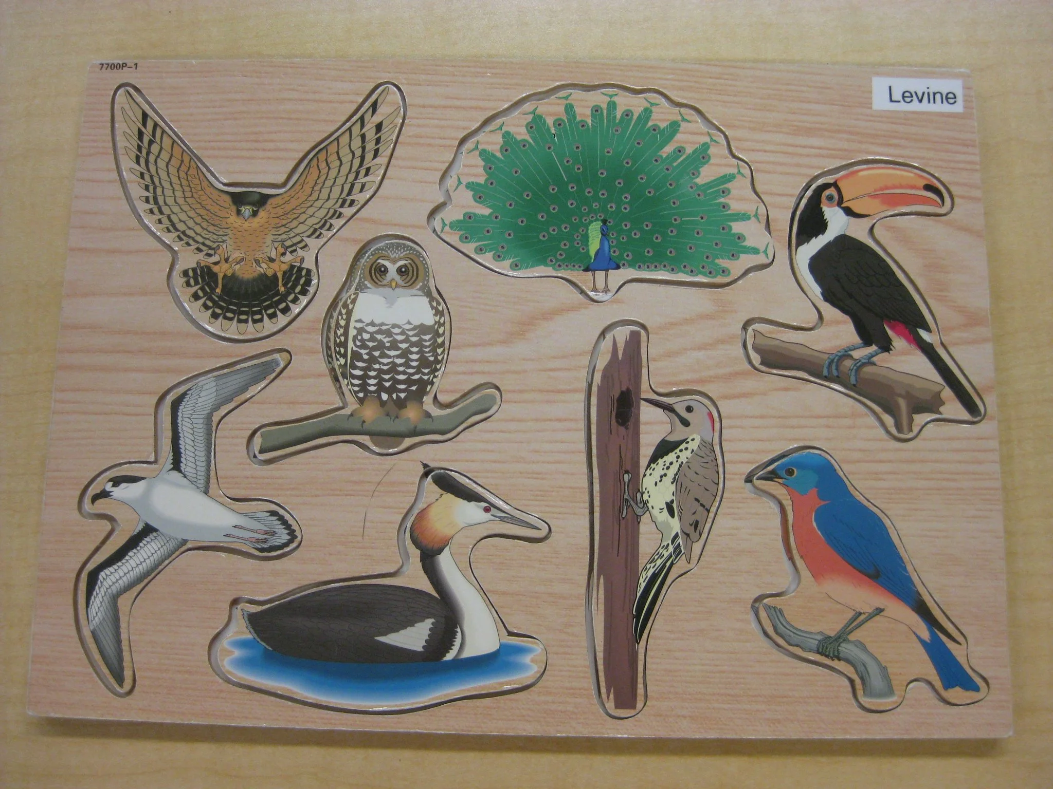 birds puzzle