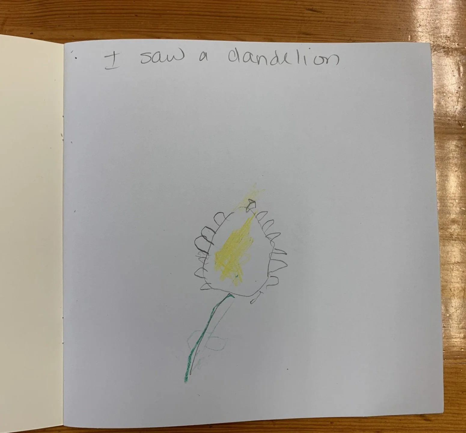 Sept+nature+journal+2.jpg