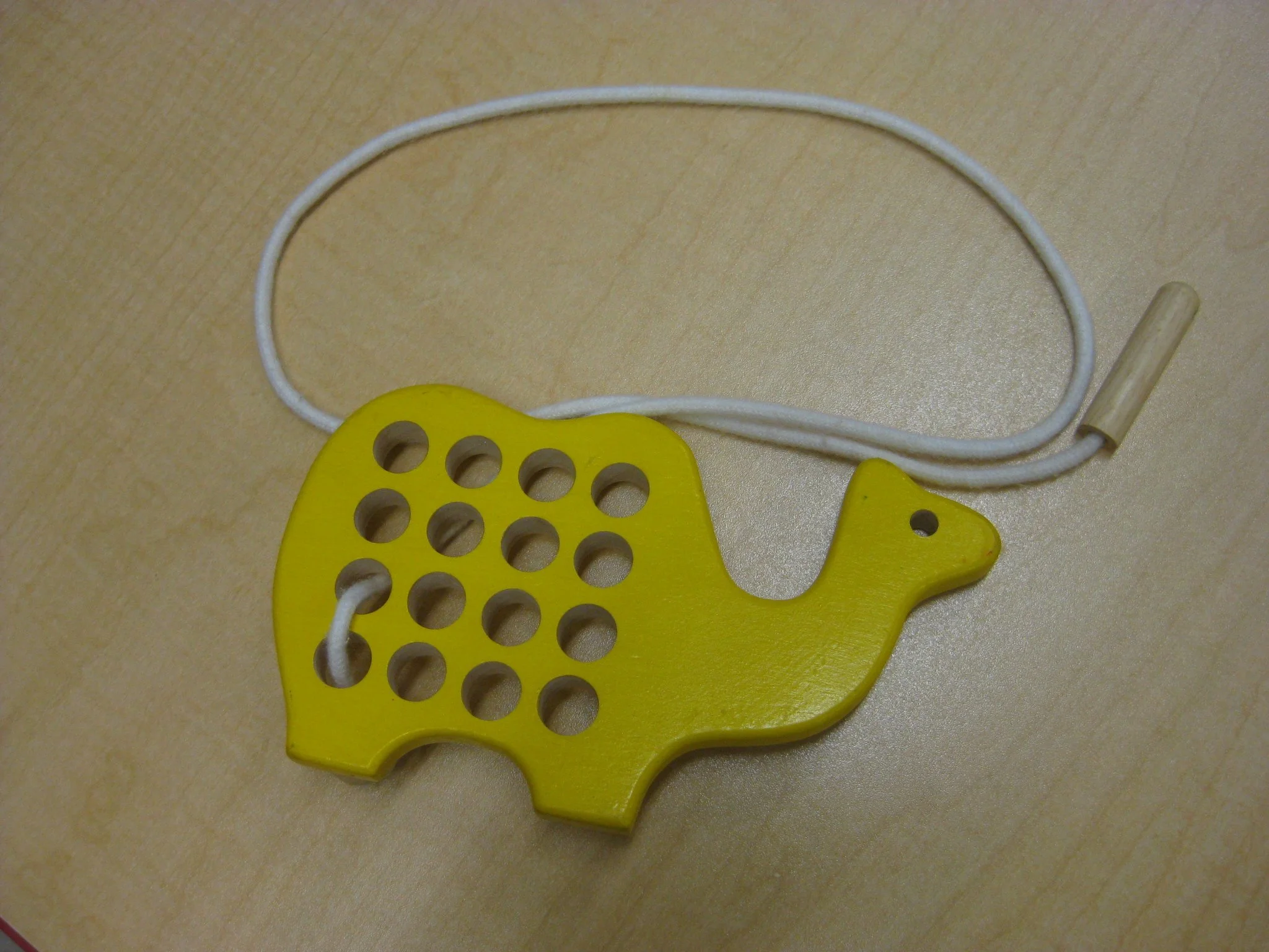 Camel lacing