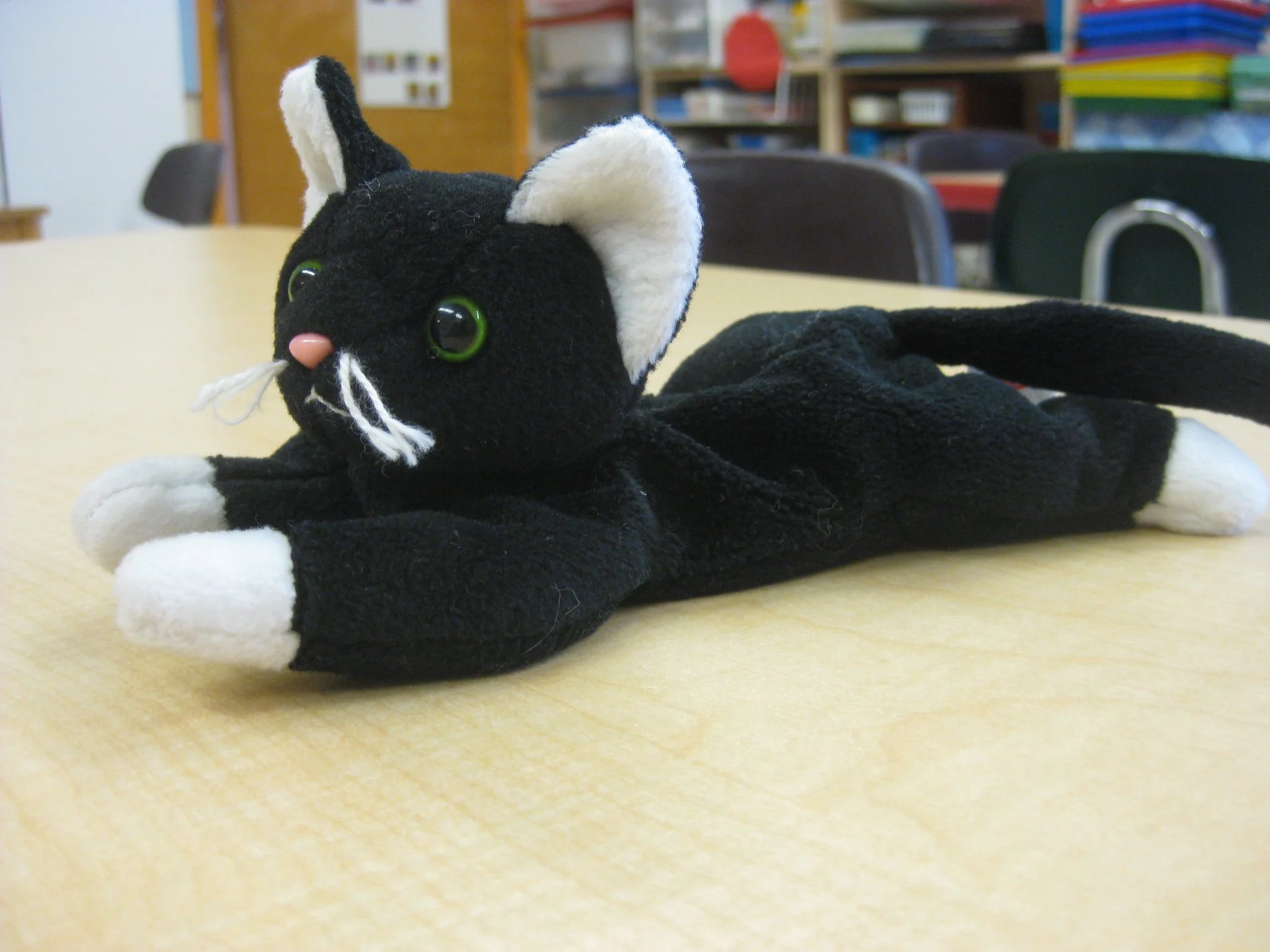 Our Circle Time visitor - Cat