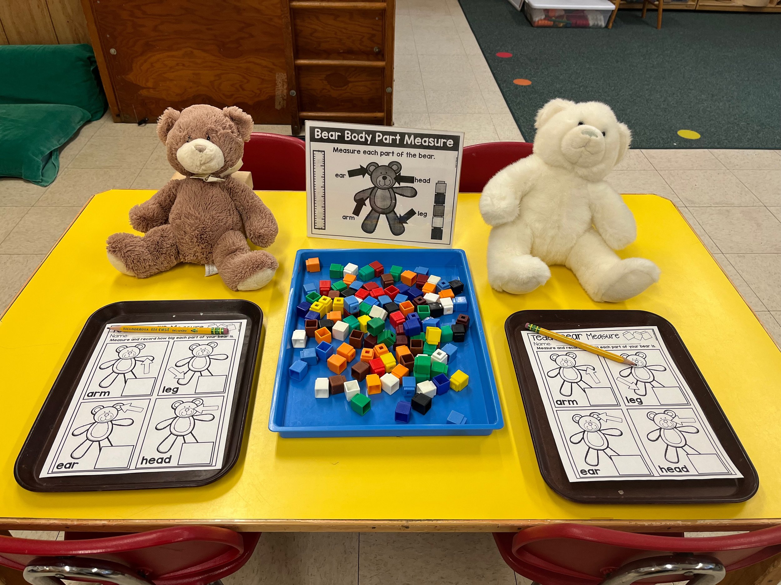 measuring bears with cubes