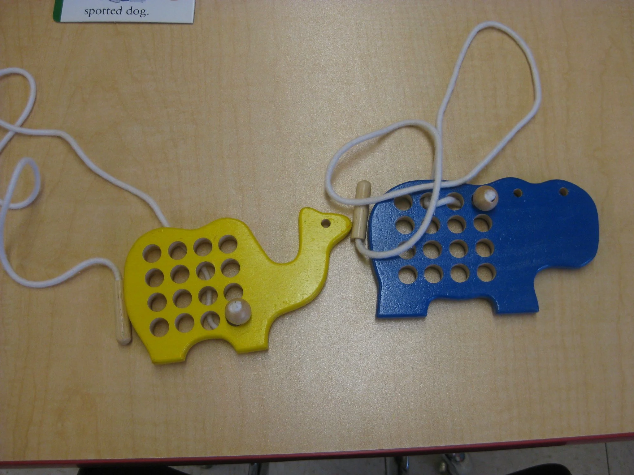 Camel and hippo lacing