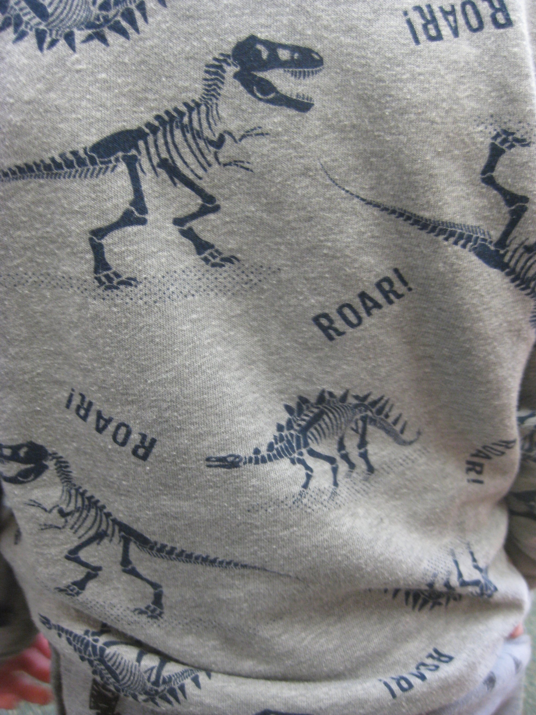 Dinos on clothes