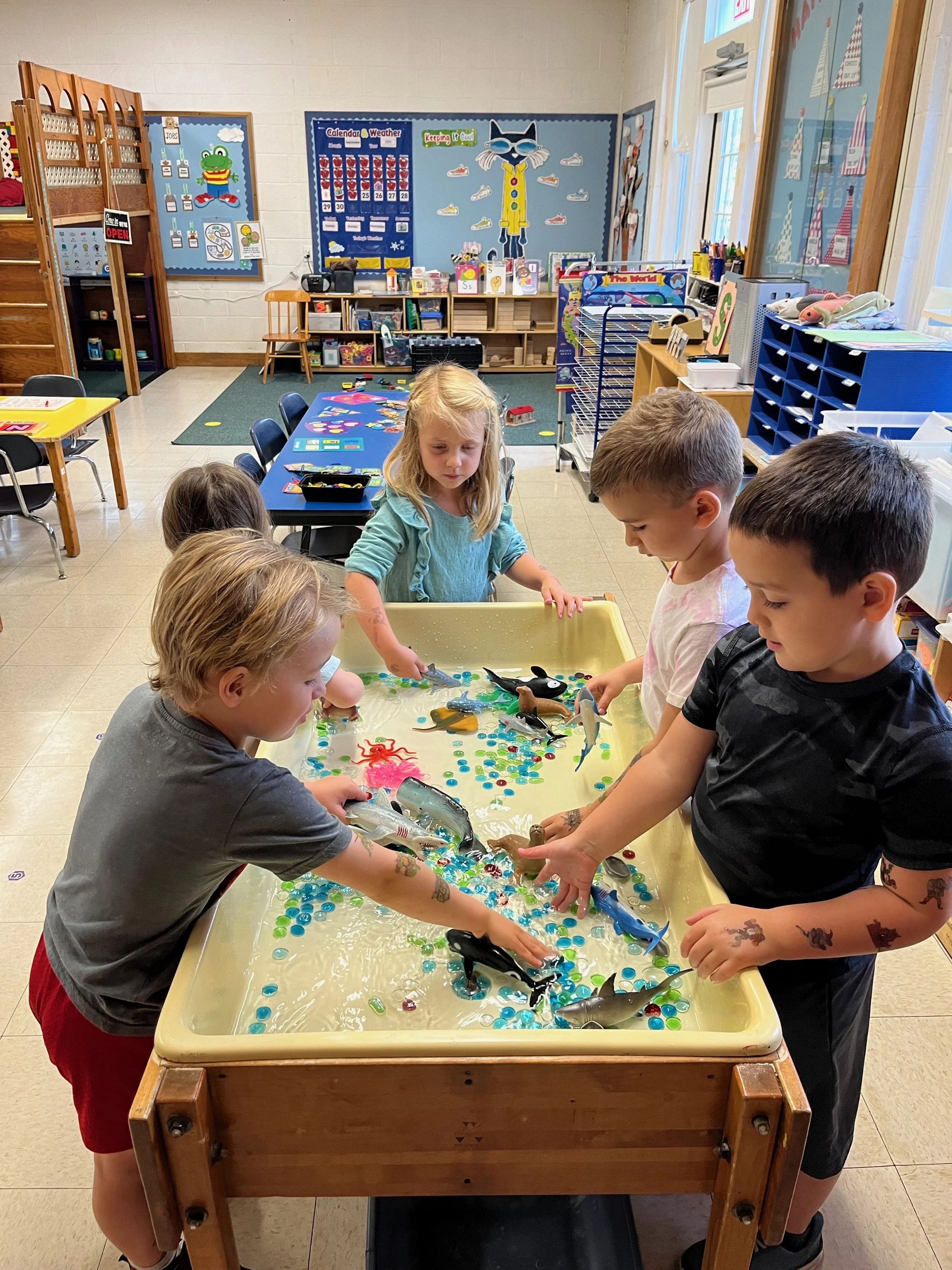 Sea Life Sensory Table