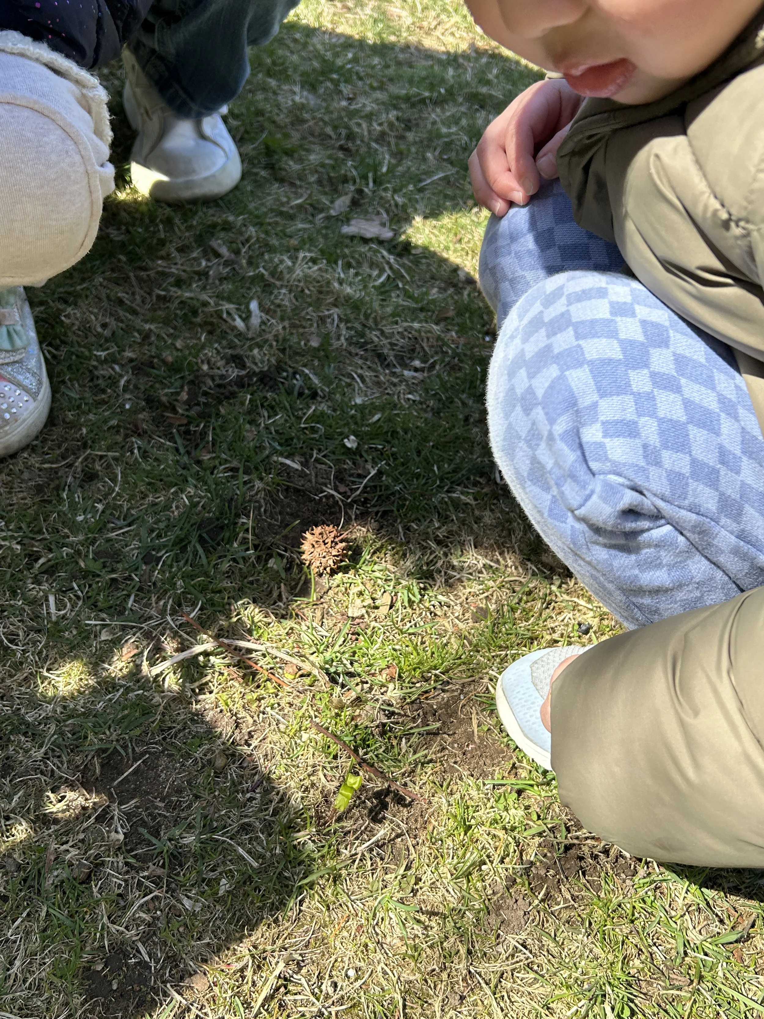 IMG_5878.JPG