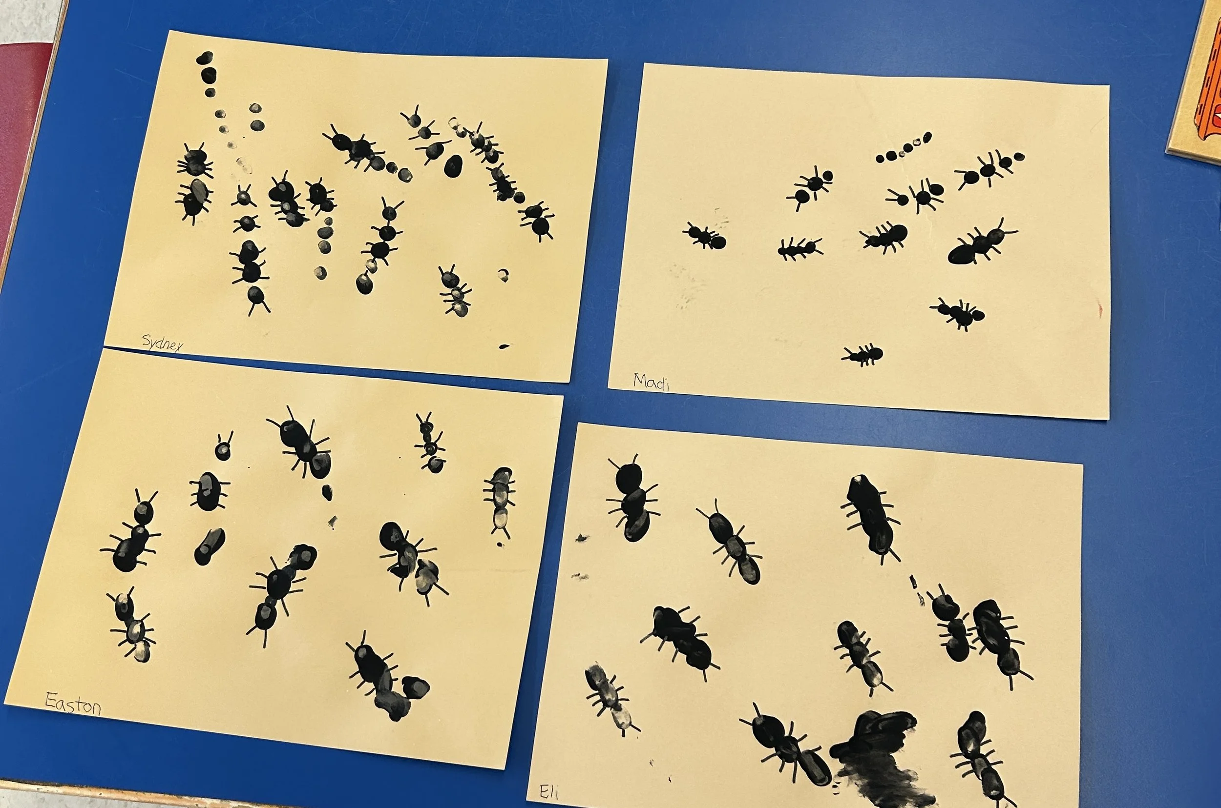 Bugs