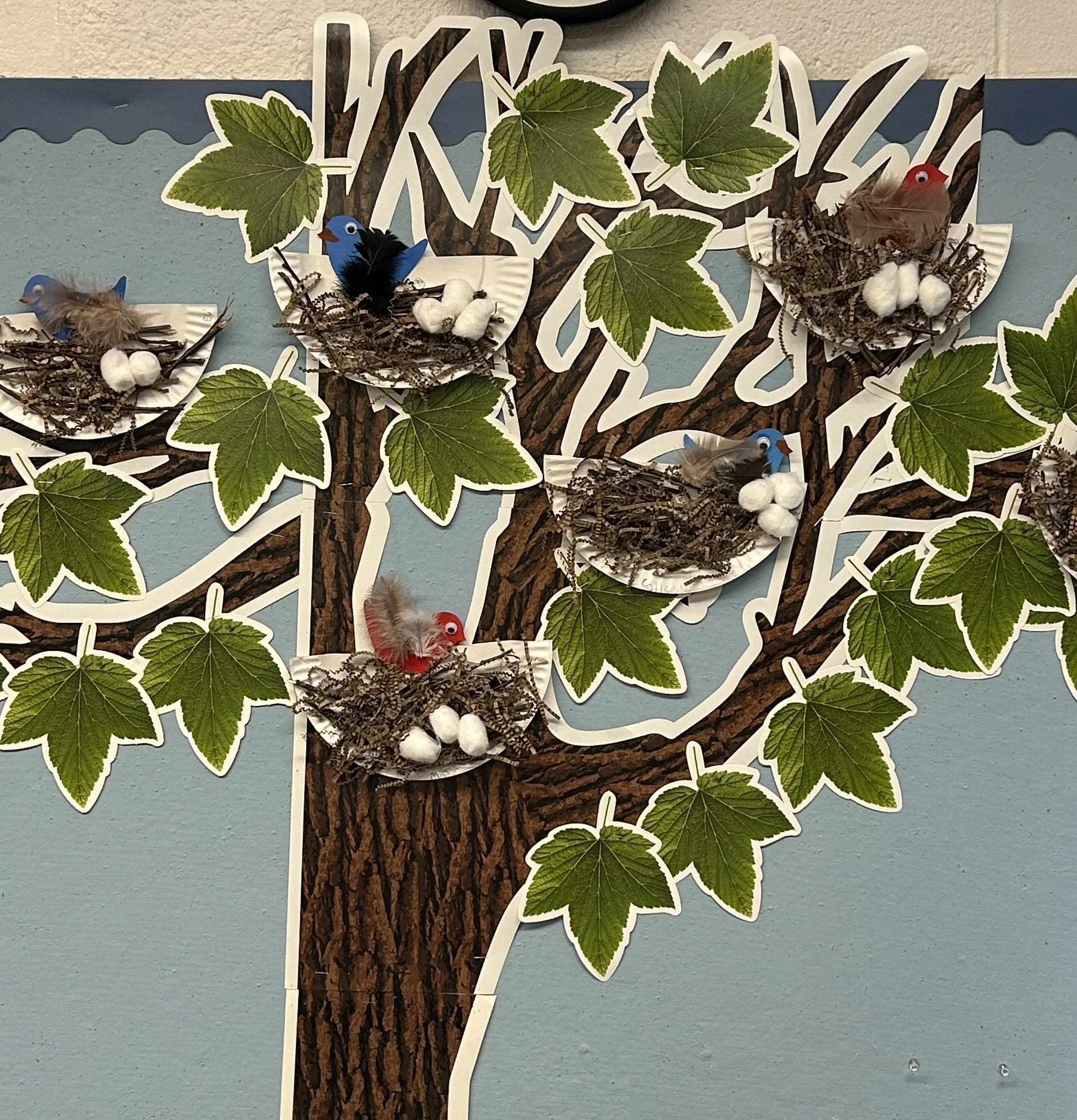 Birds
