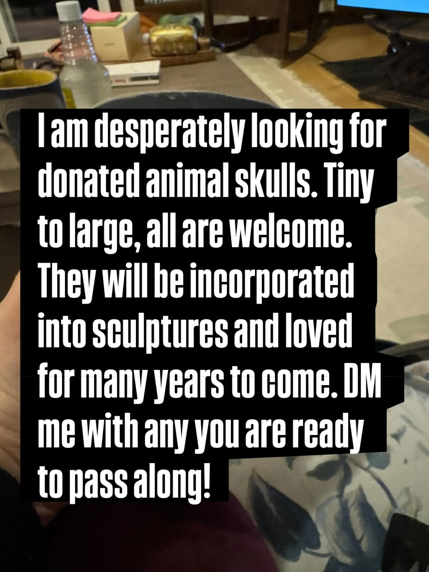 Send me a message! #ottawa #haliburtonhighlands