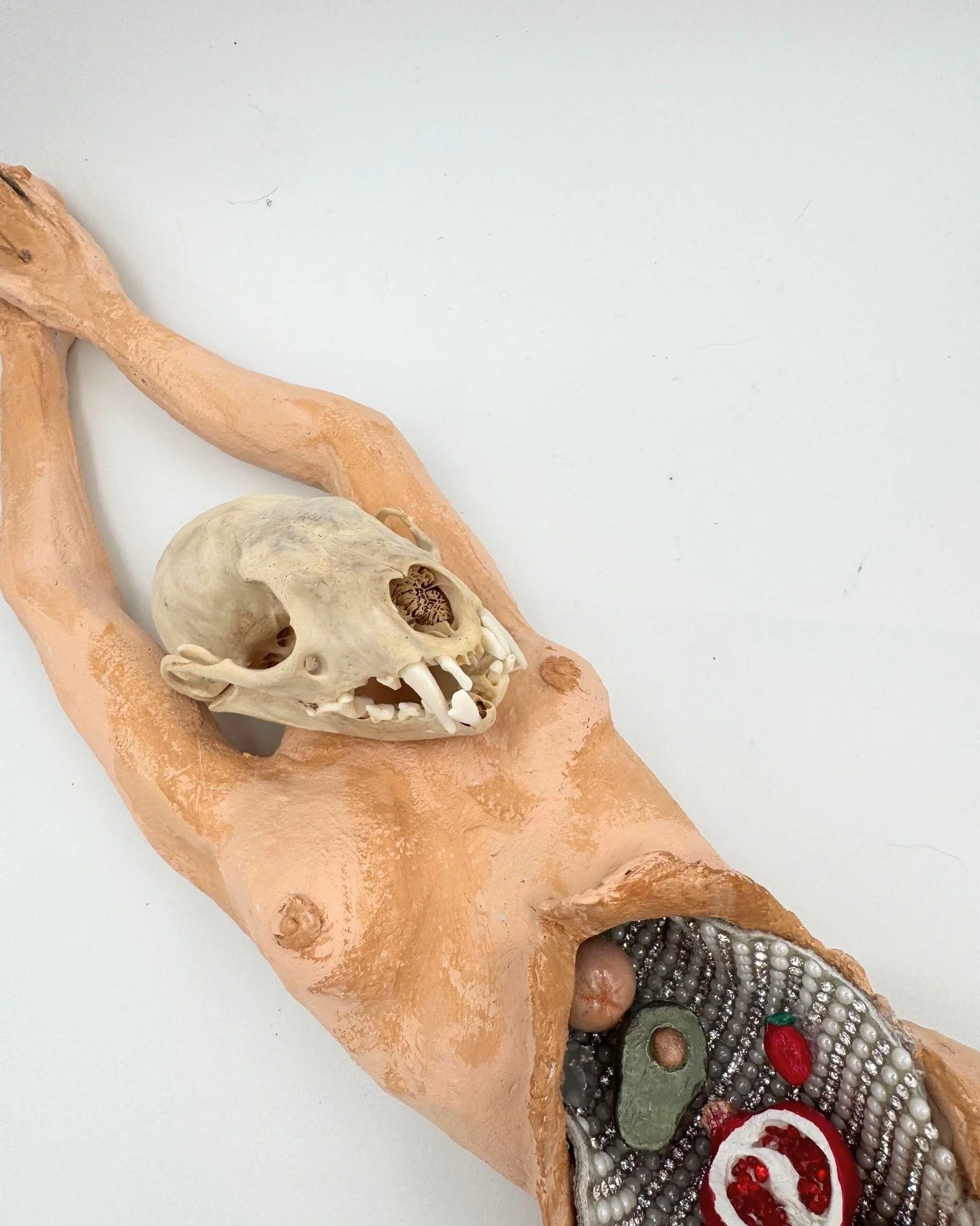 Detail from "Medical Intervention" 
Jordan Danger
2026

During the process of managing my #endometriosis and #adenomyosis, I found myself feeling like this animal being dissected dispassionately by the medical profession.

The dehumanizing 