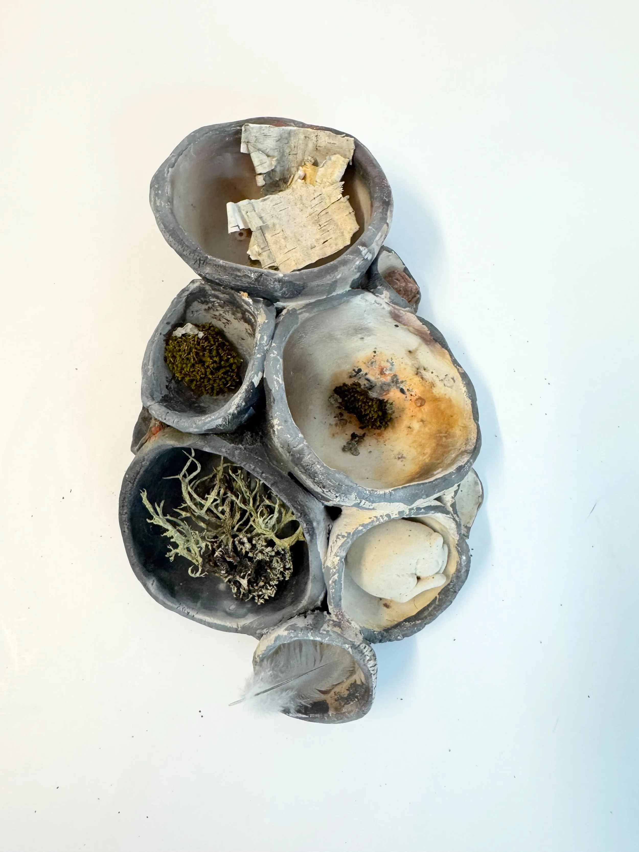 Jordan Danger _ Hibernating barrel fired doormouse.jpg