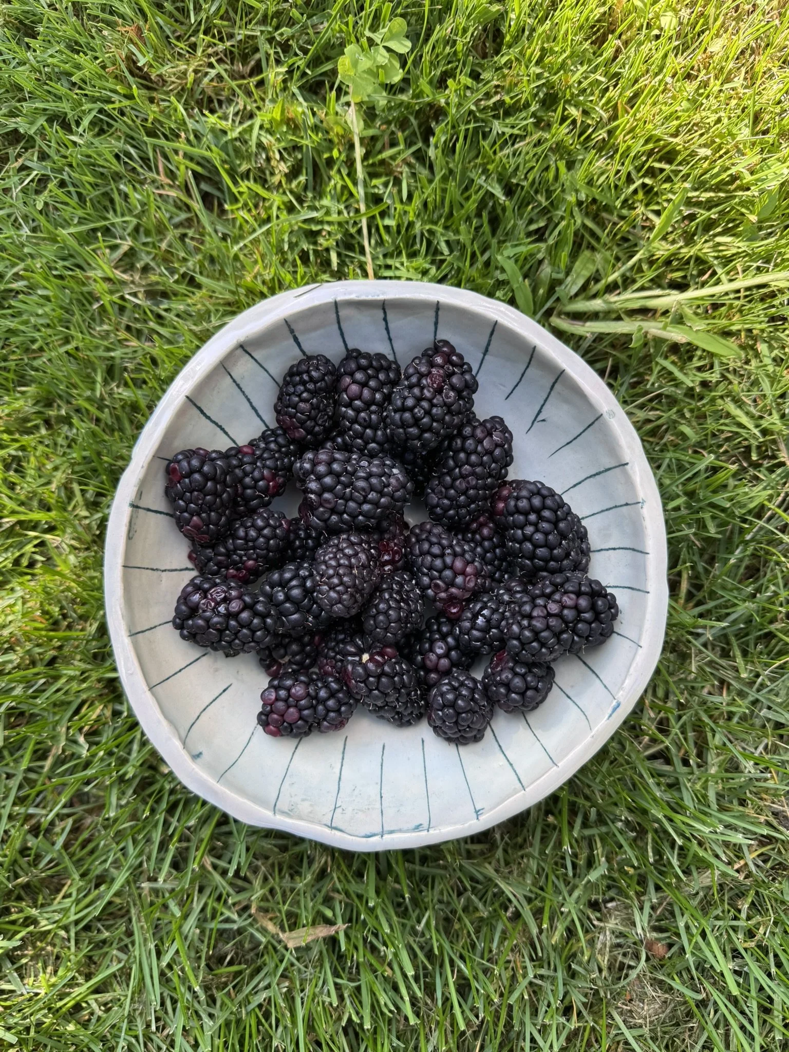 berry bowl 2.JPEG