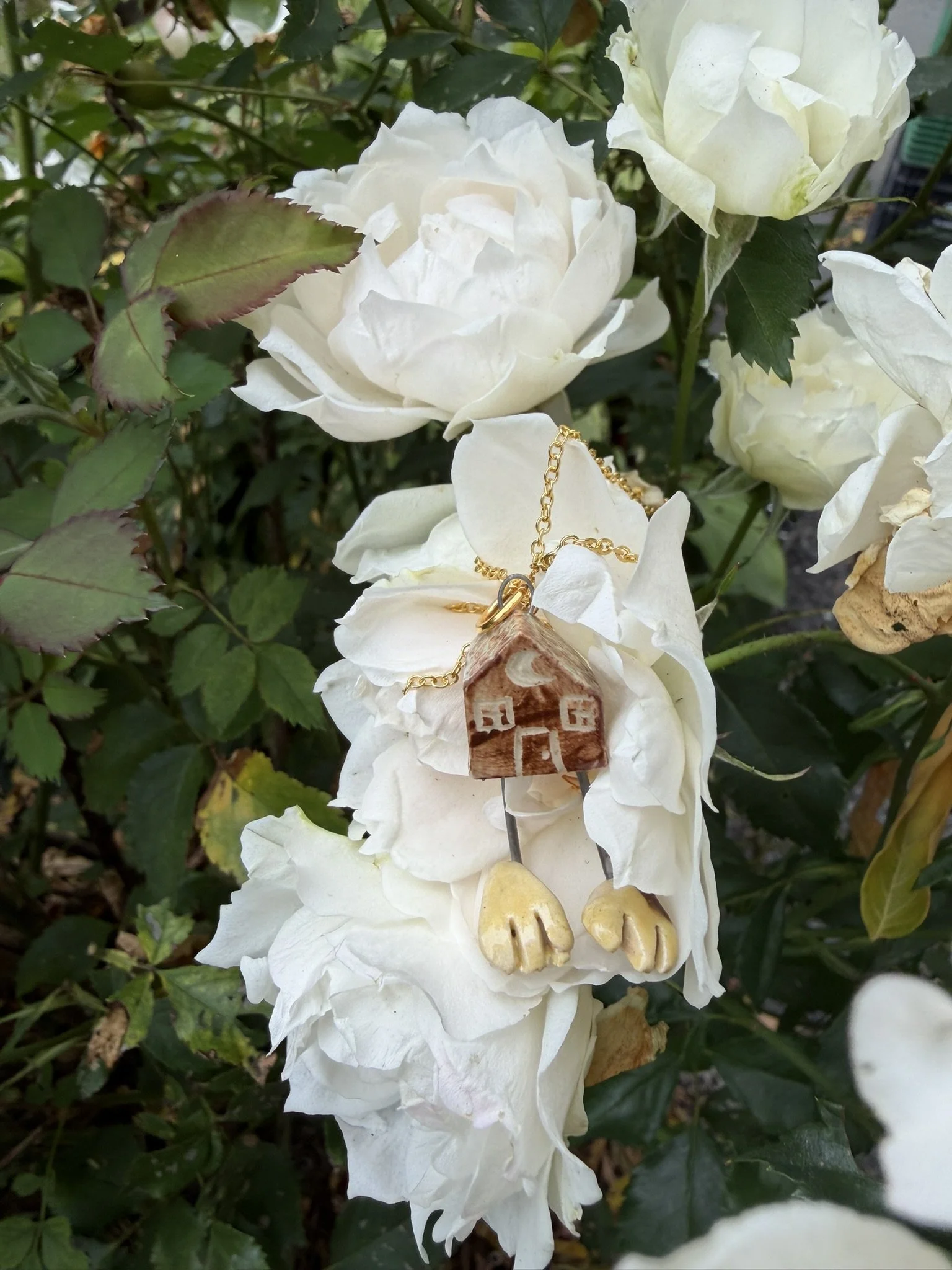 IMG_7305.JPEG